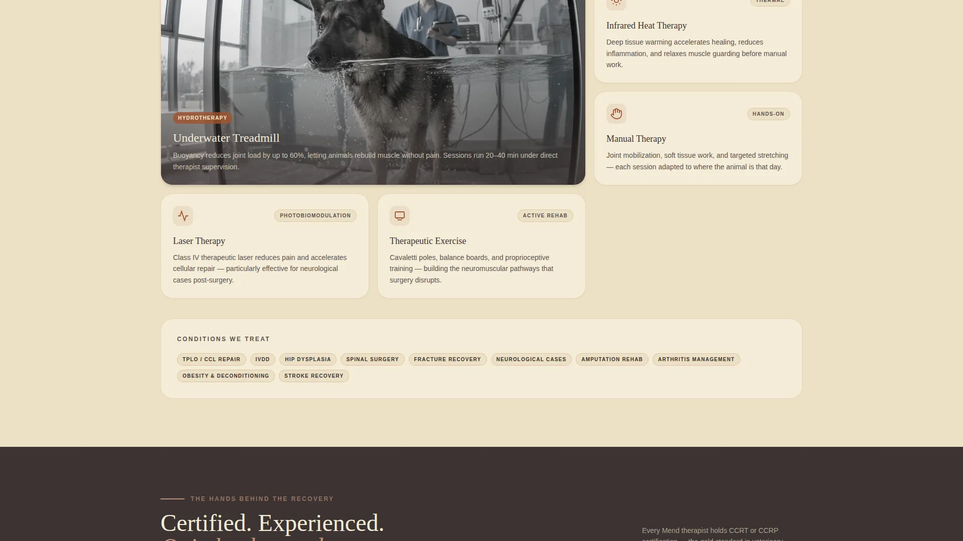 Pet Rehabilitation Center Landing Page Template