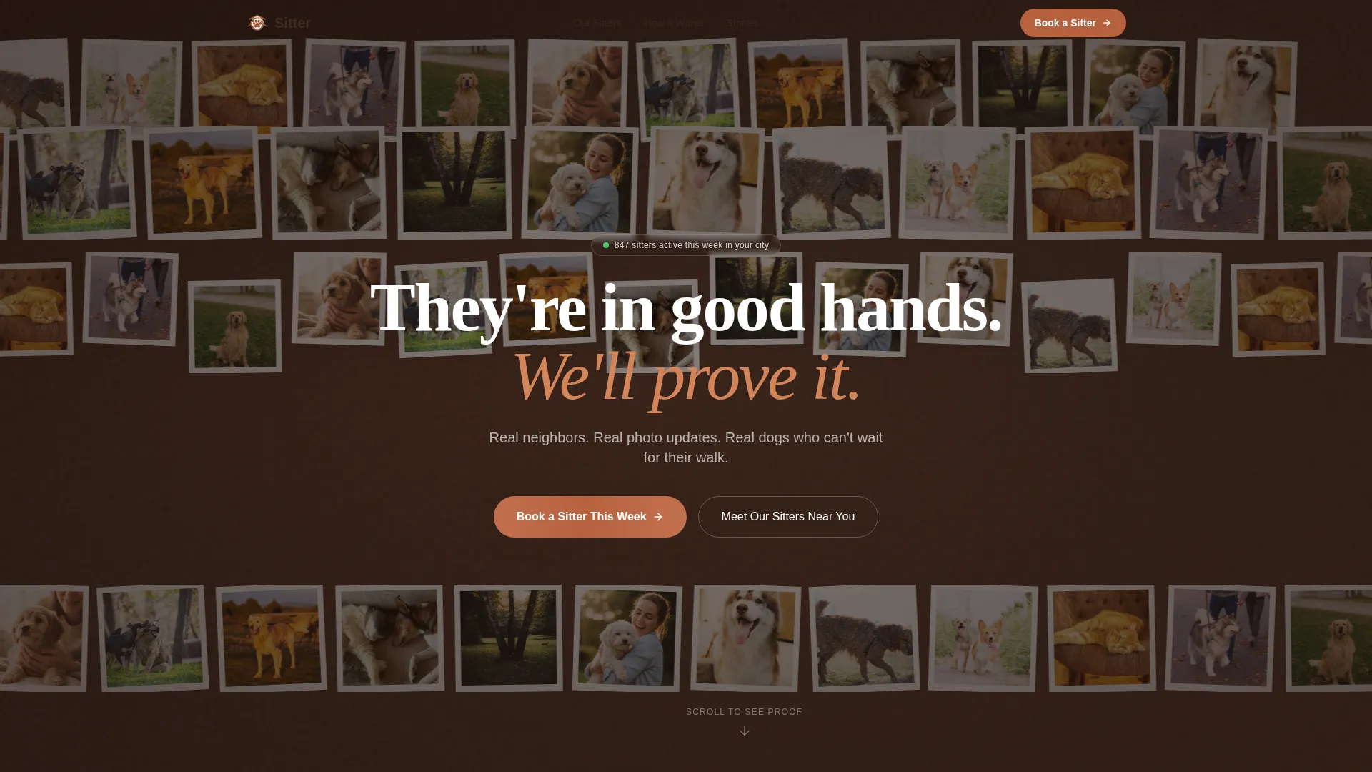 Local Pet Boarding & Daycare Appointment Booking Website Template