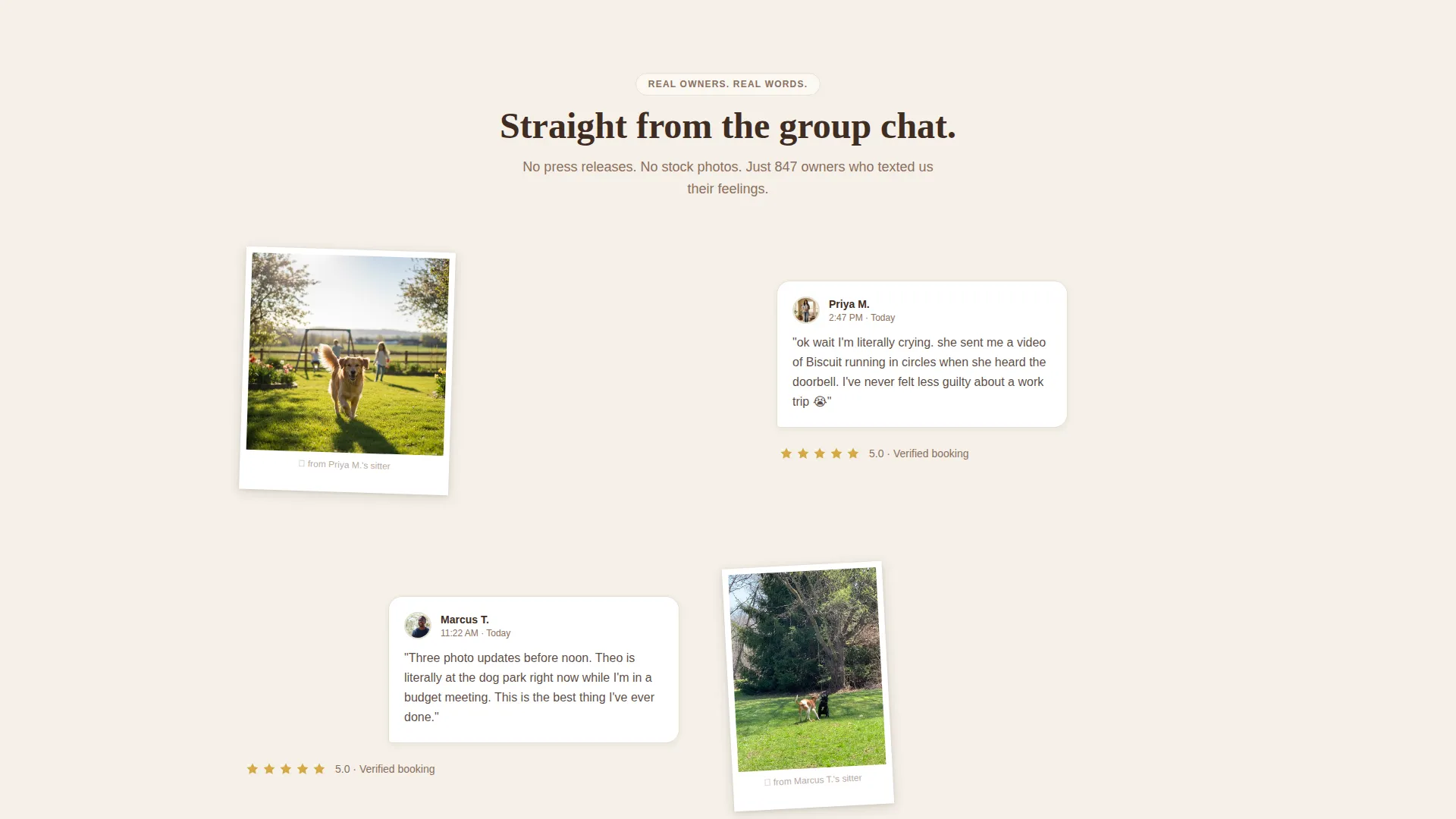 Local Pet Boarding & Daycare Appointment Booking Website Template