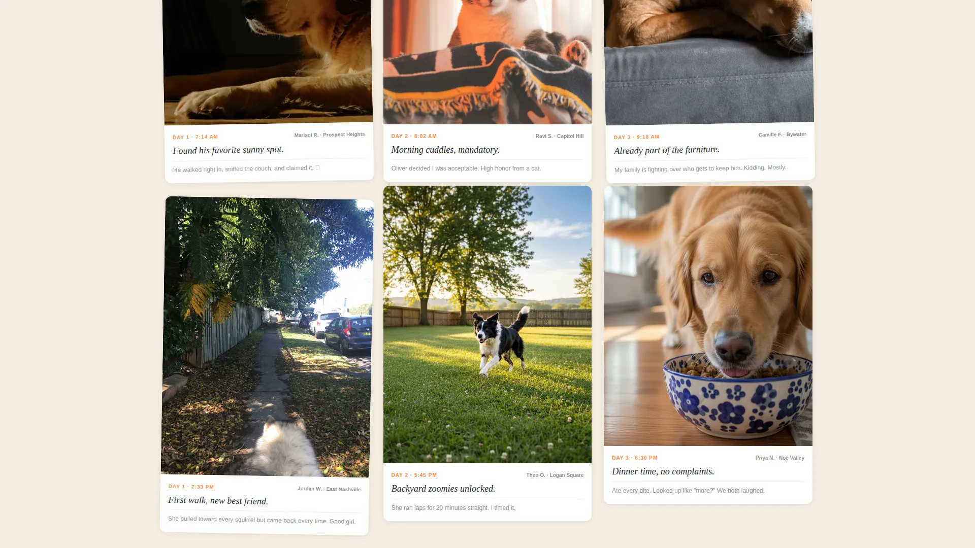 Trusted Pet Sitting Landing Page Template