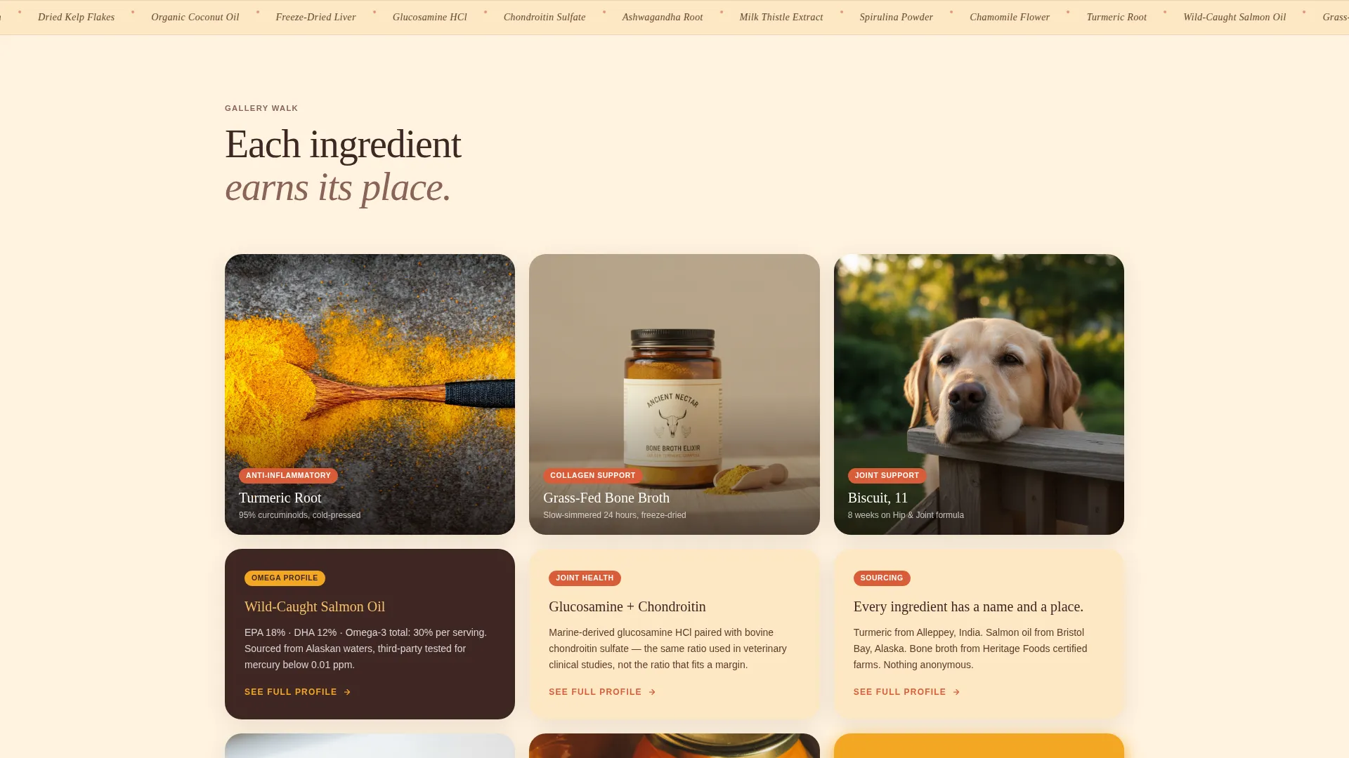 Artisan Pet Supplement Landing Page Template