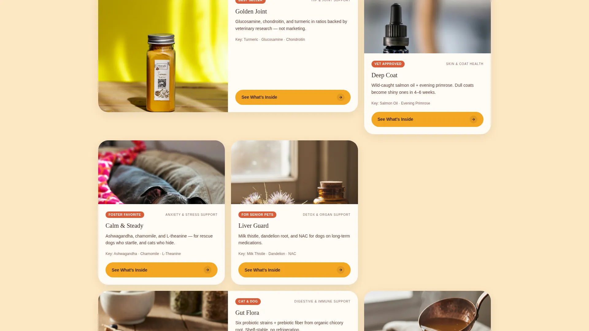 Artisan Pet Supplement Landing Page Template