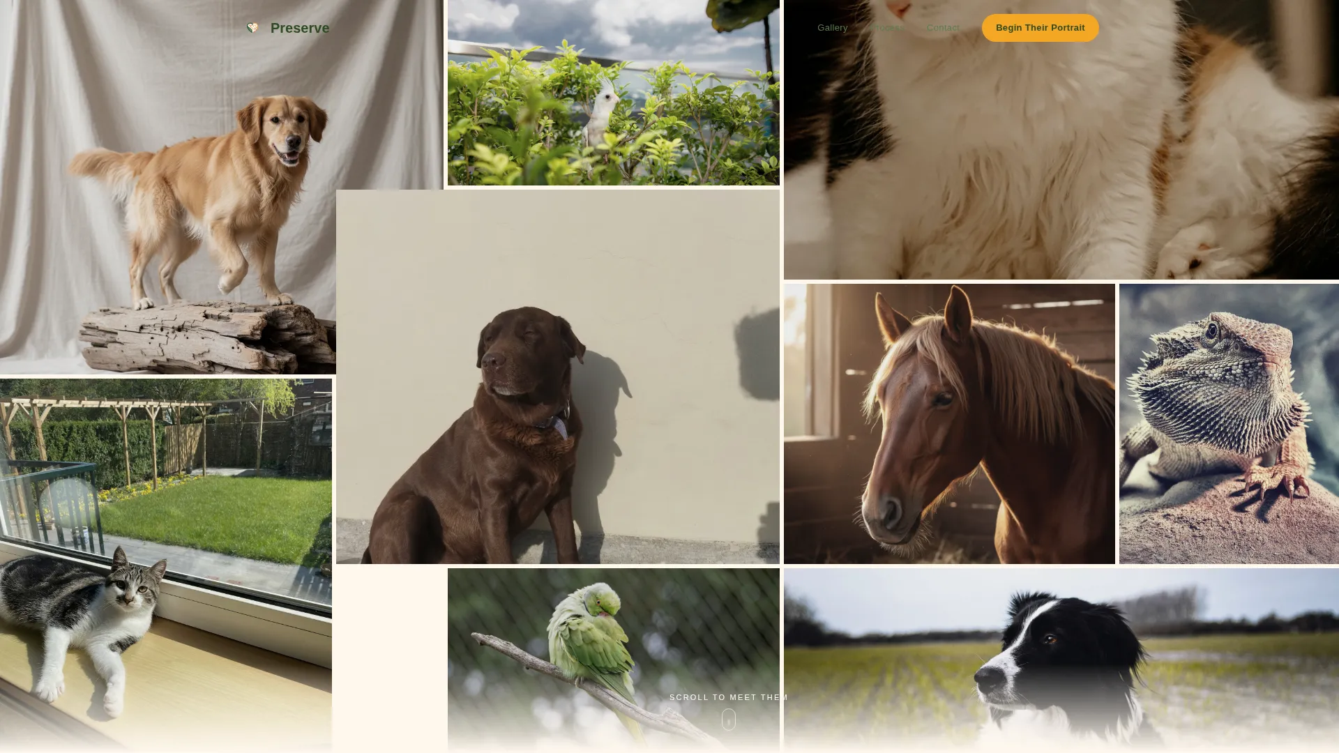 Pet Taxidermy Gallery & Detail Landing Page Template