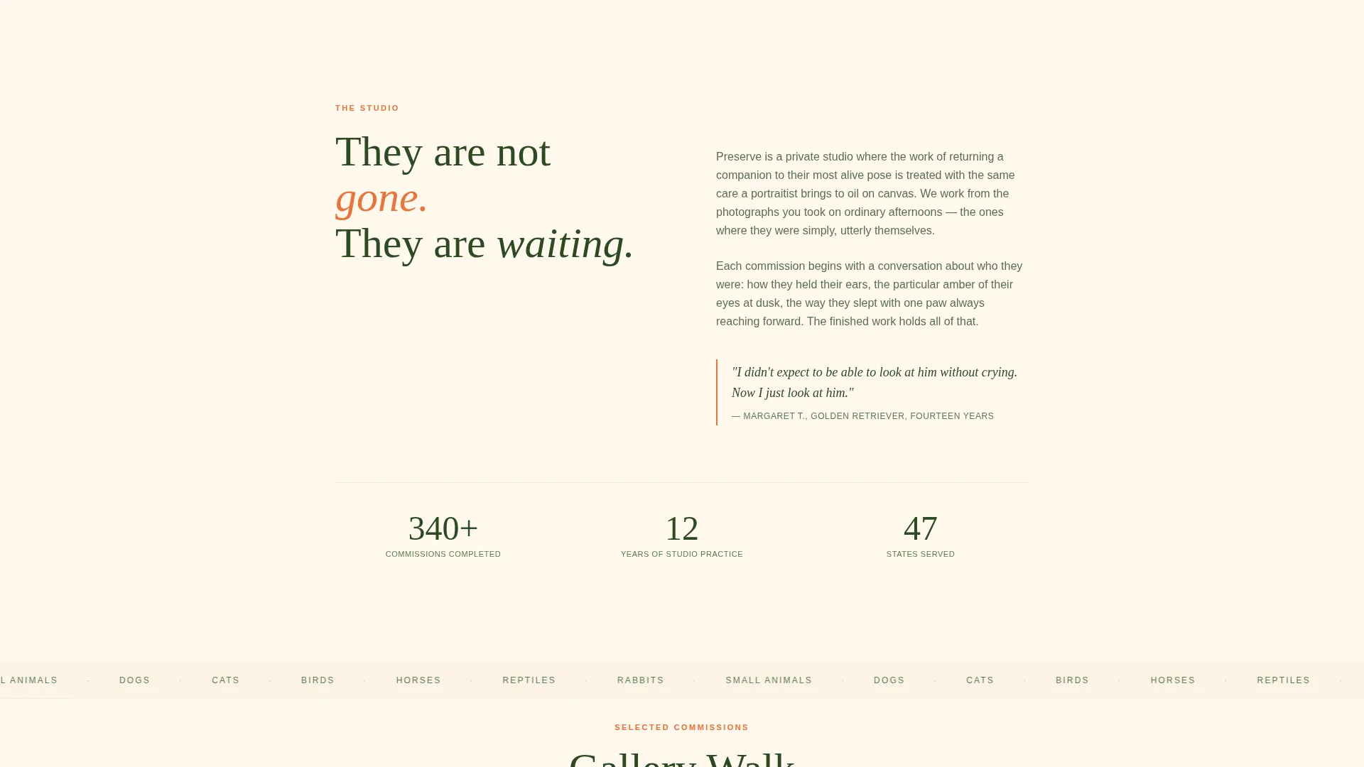 Pet Taxidermy Gallery & Detail Landing Page Template