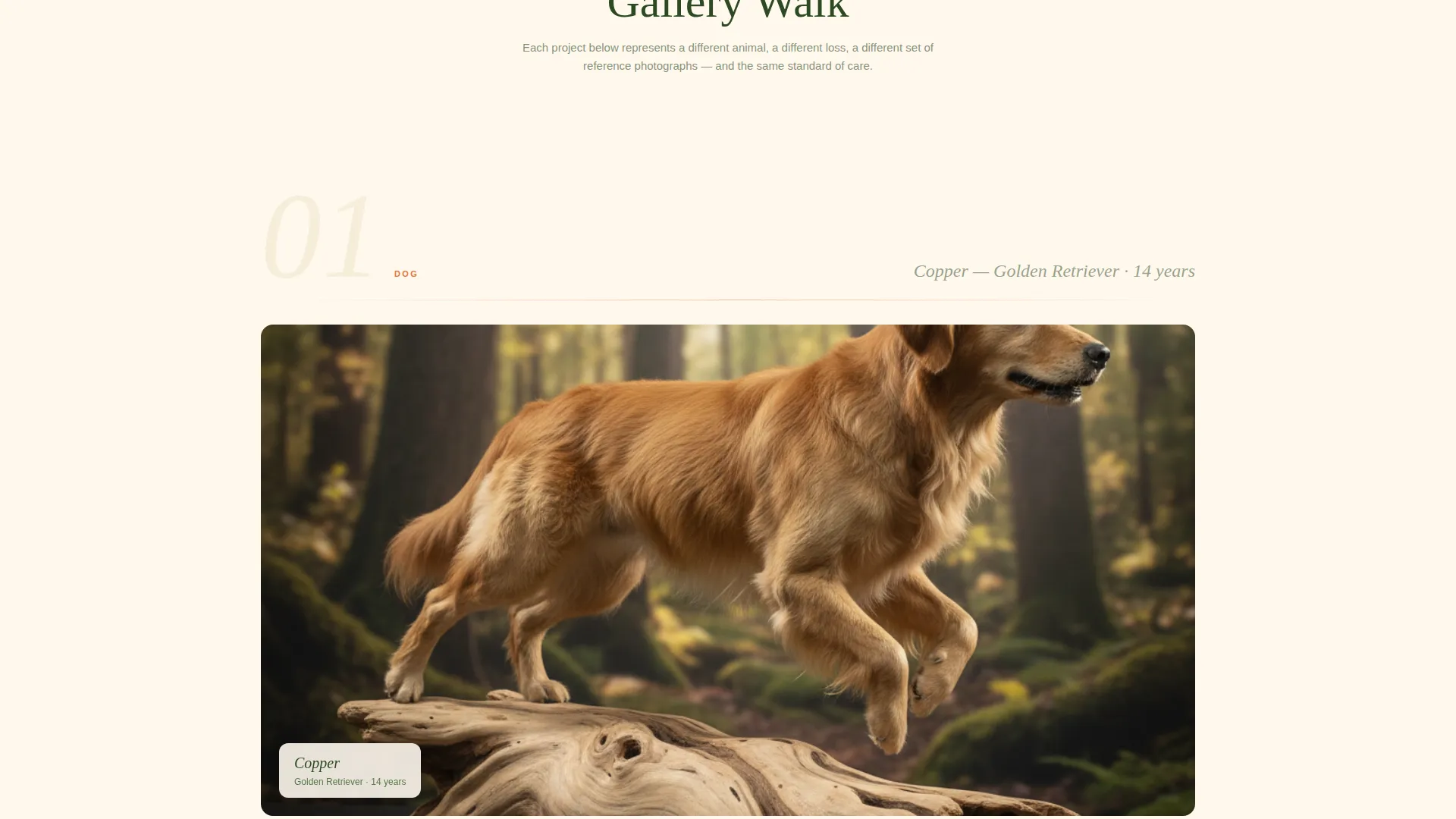 Pet Taxidermy Gallery & Detail Landing Page Template
