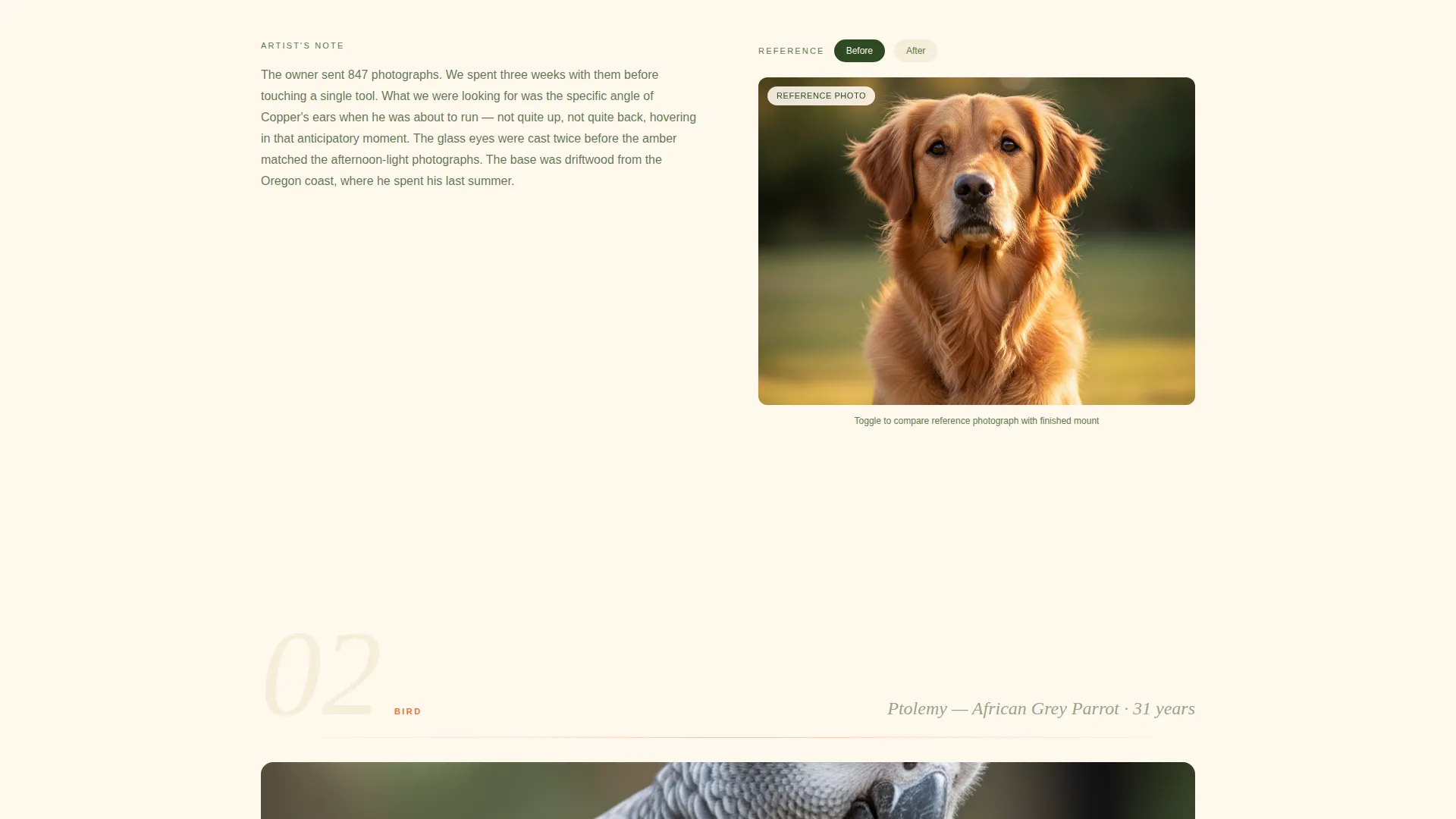 Pet Taxidermy Gallery & Detail Landing Page Template