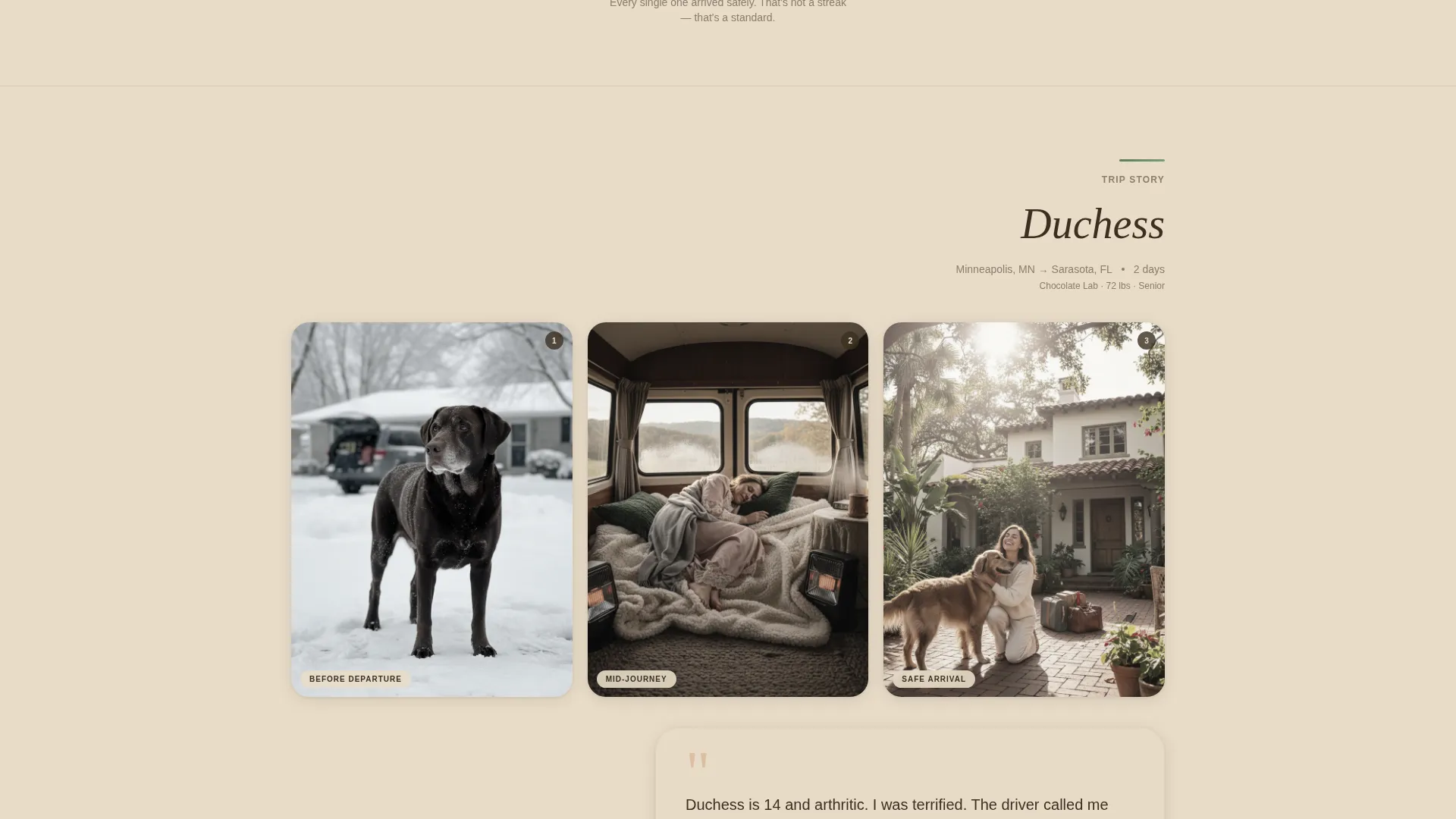 Pet Transport Landing Page Template