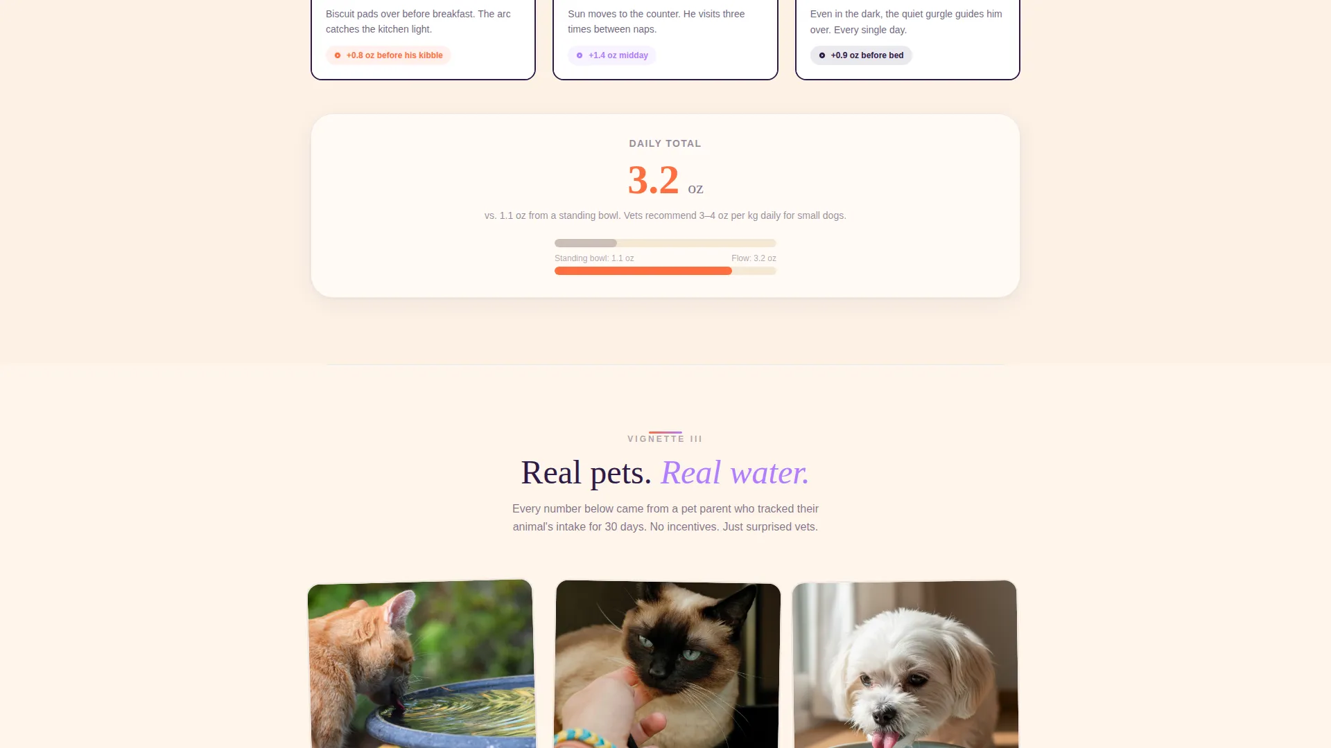 Ceramic Pet Fountain Landing Page Template