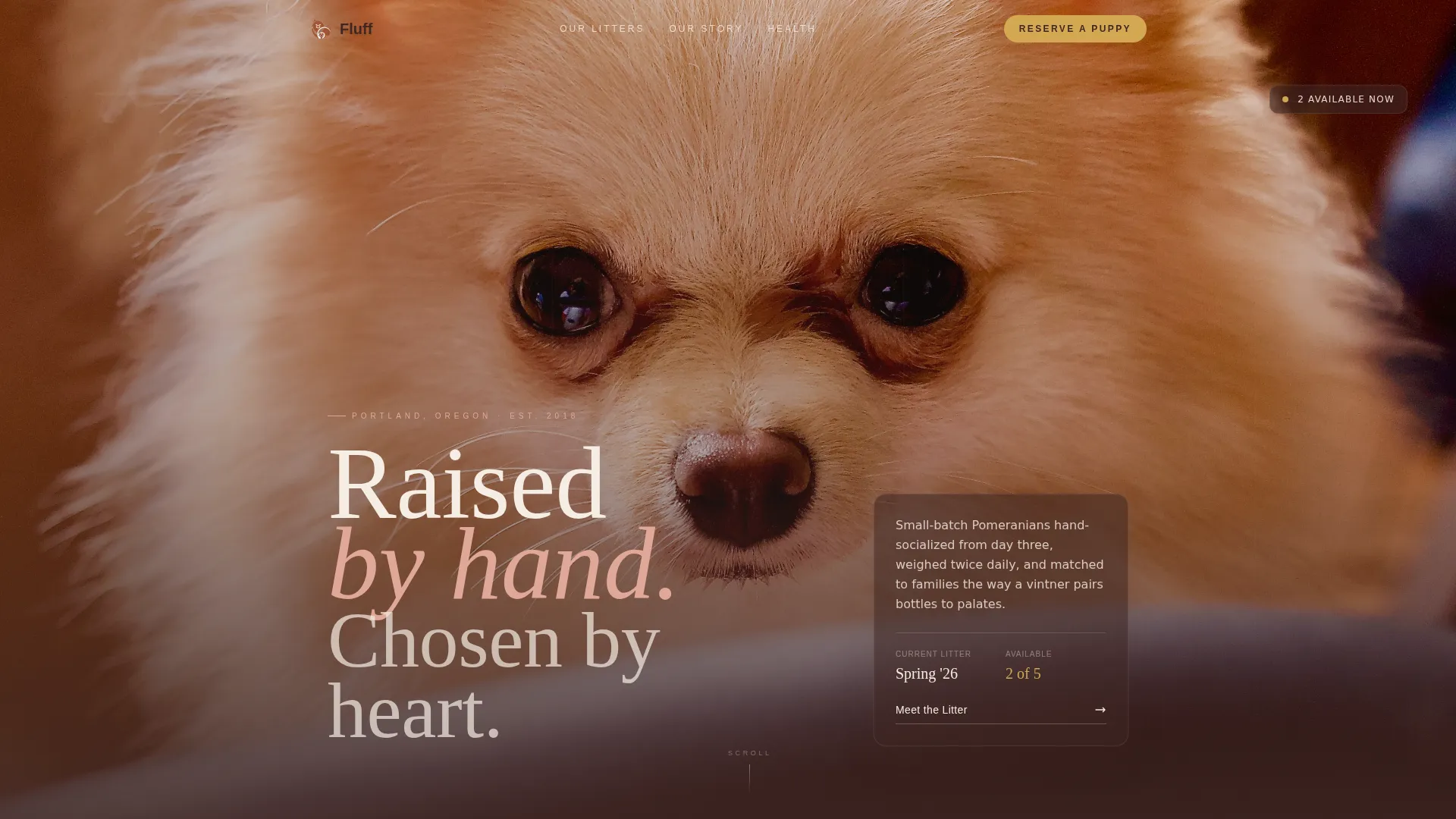Artisan Pomeranian Breeder Landing Page Template