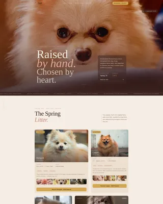 Artisan Pomeranian Breeder Landing Page Template