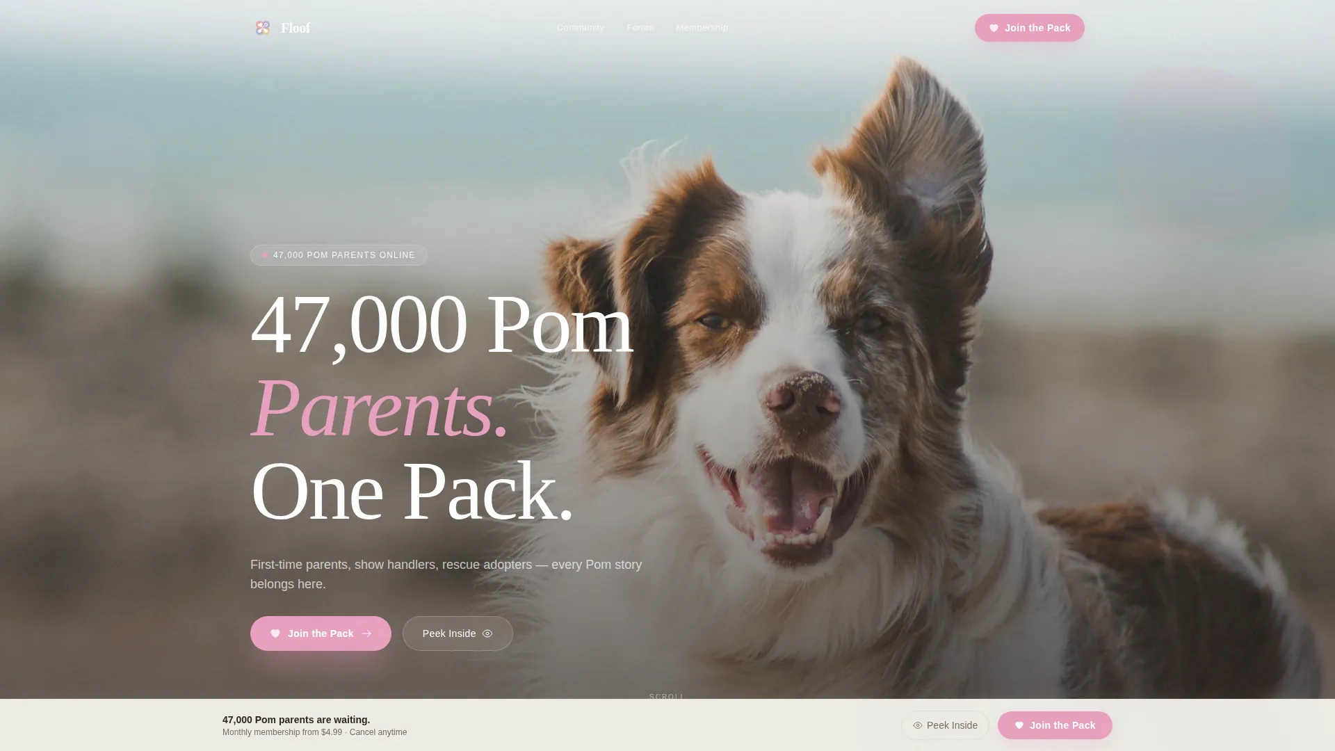 Pomeranian Community Landing Page Template