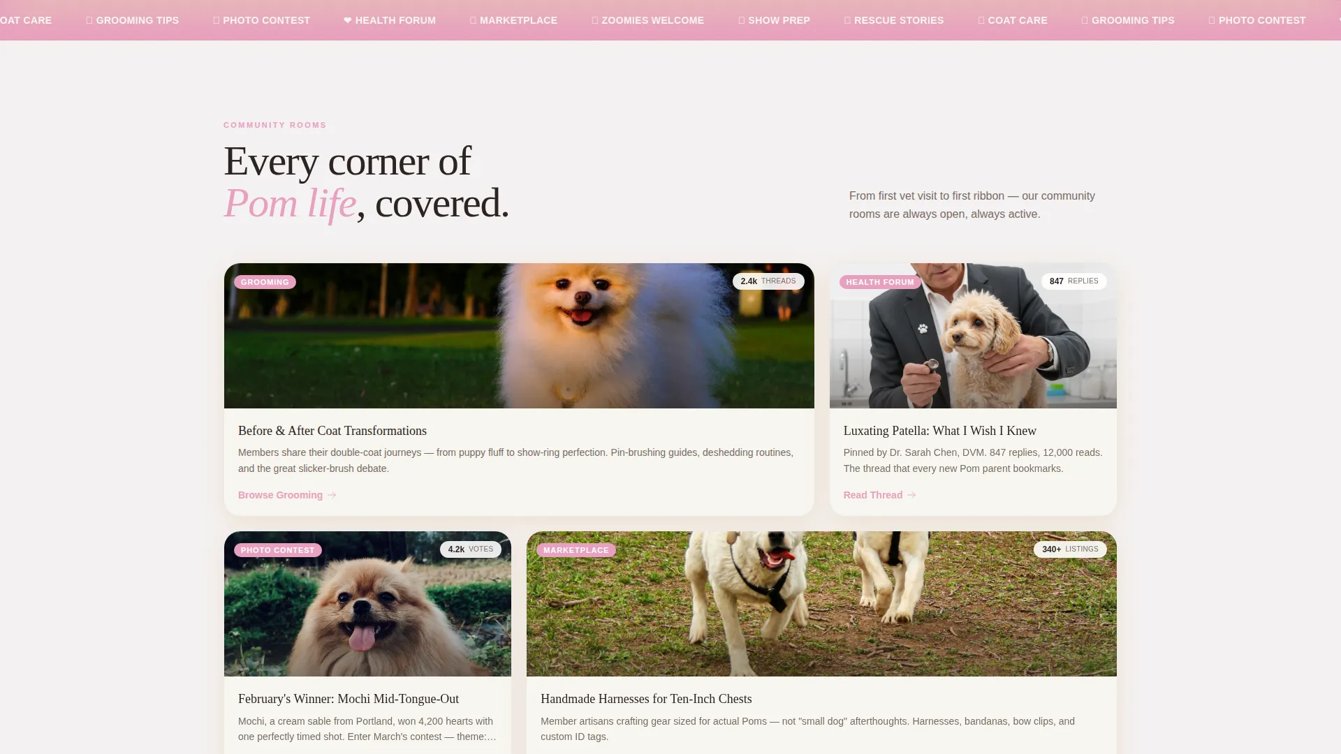 Pomeranian Community Landing Page Template