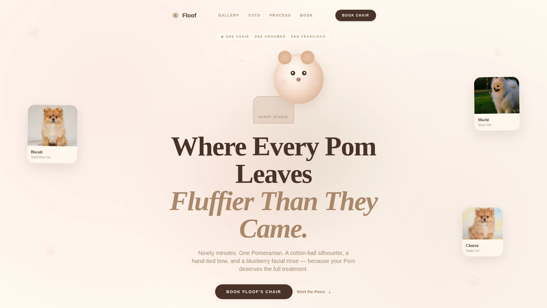 Pomeranian Grooming Specialist Landing Page Template