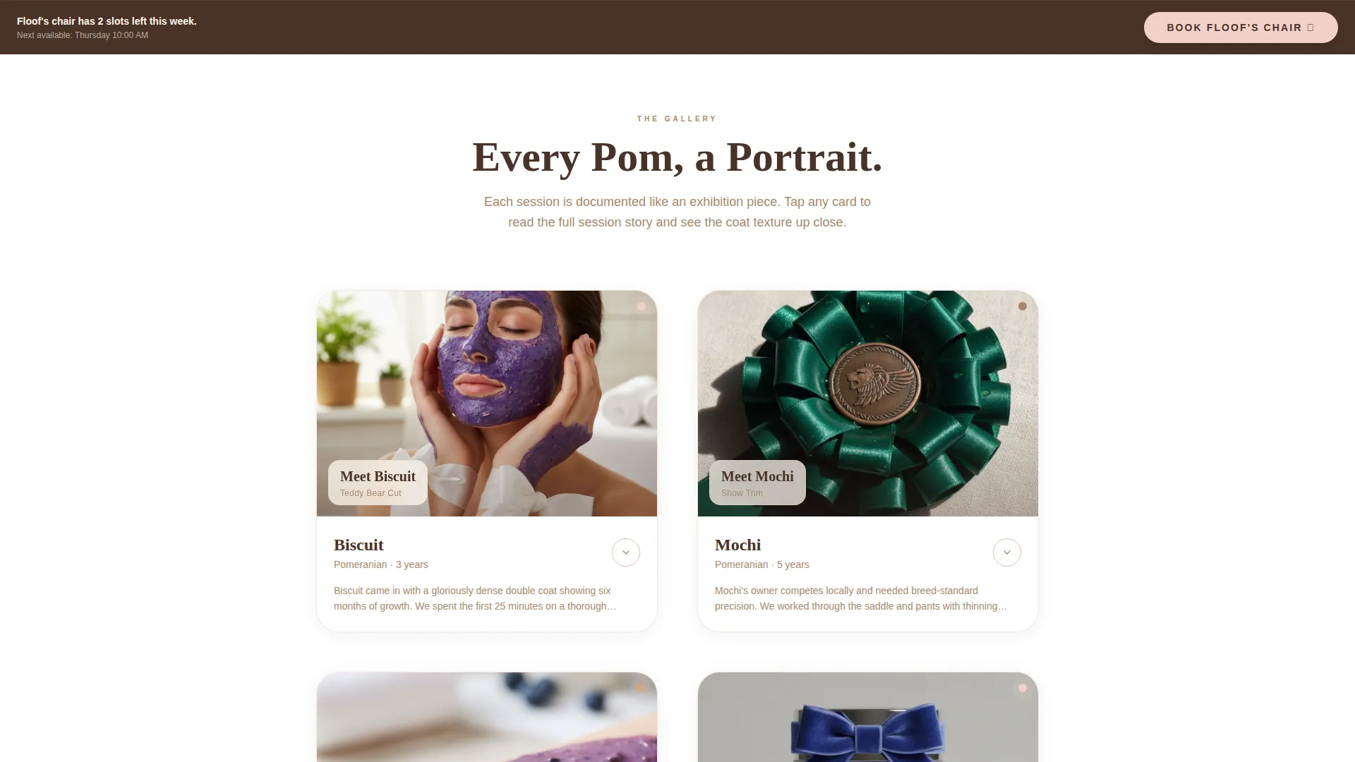 Pomeranian Grooming Specialist Landing Page Template