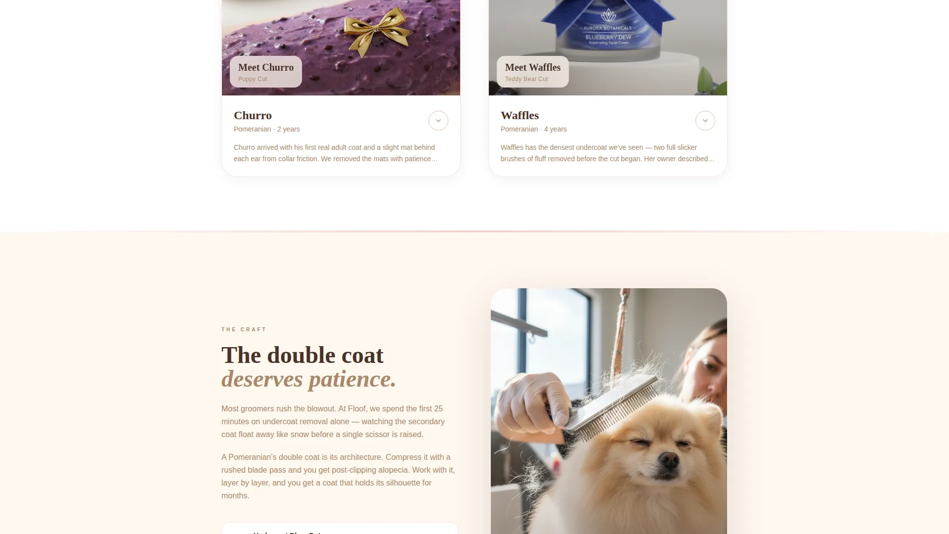 Pomeranian Grooming Specialist Landing Page Template