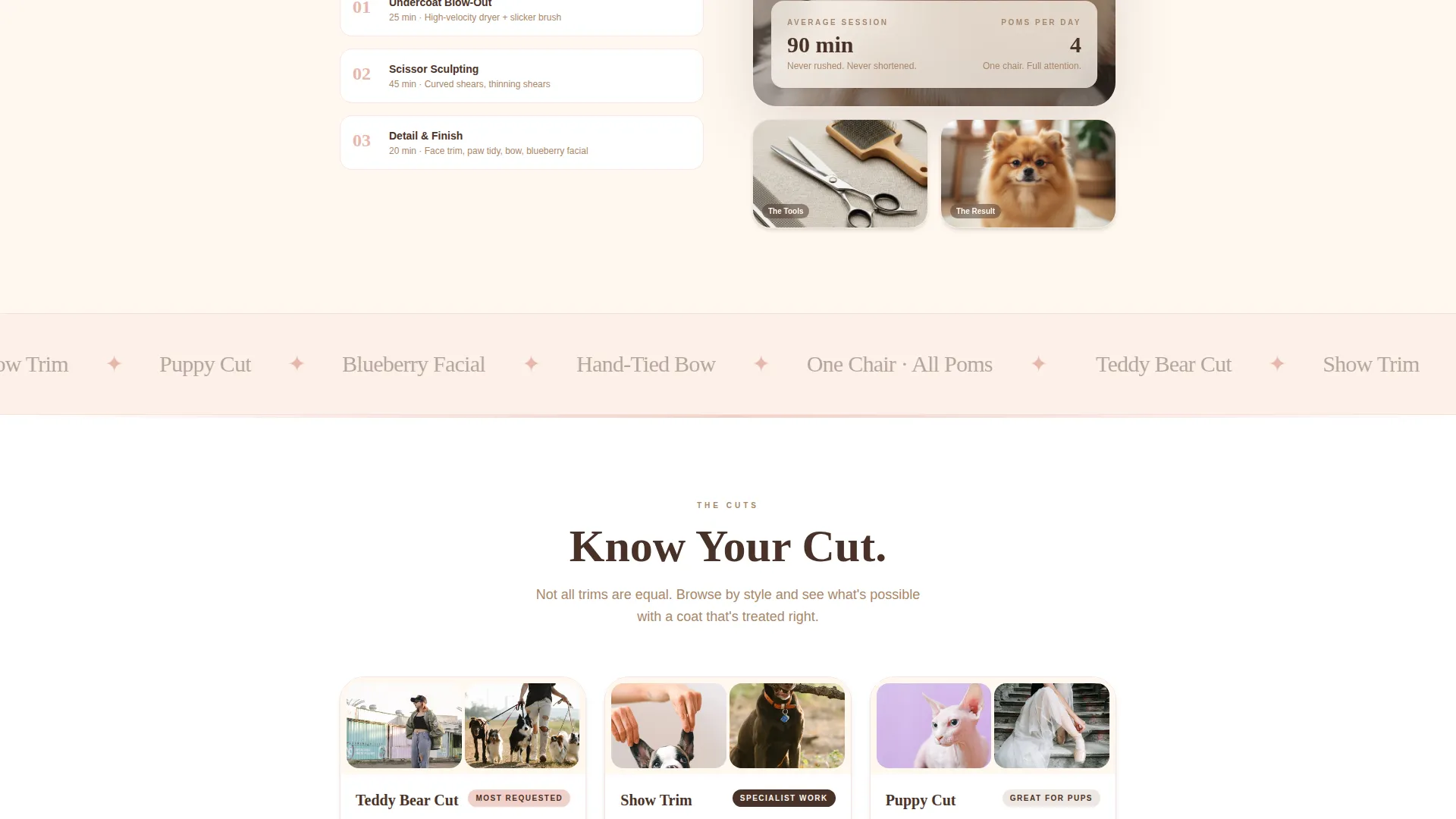 Pomeranian Grooming Specialist Landing Page Template