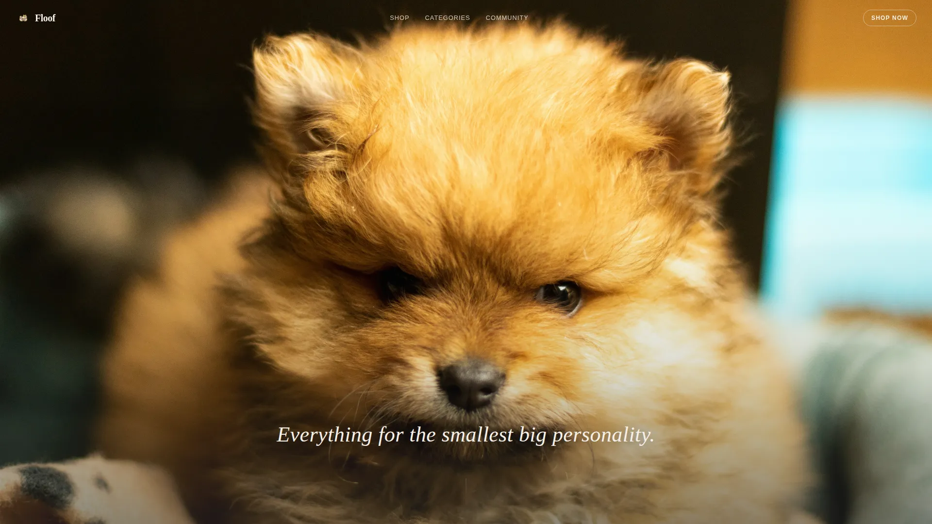 Pomeranian Puppy Supplies Landing Page Template