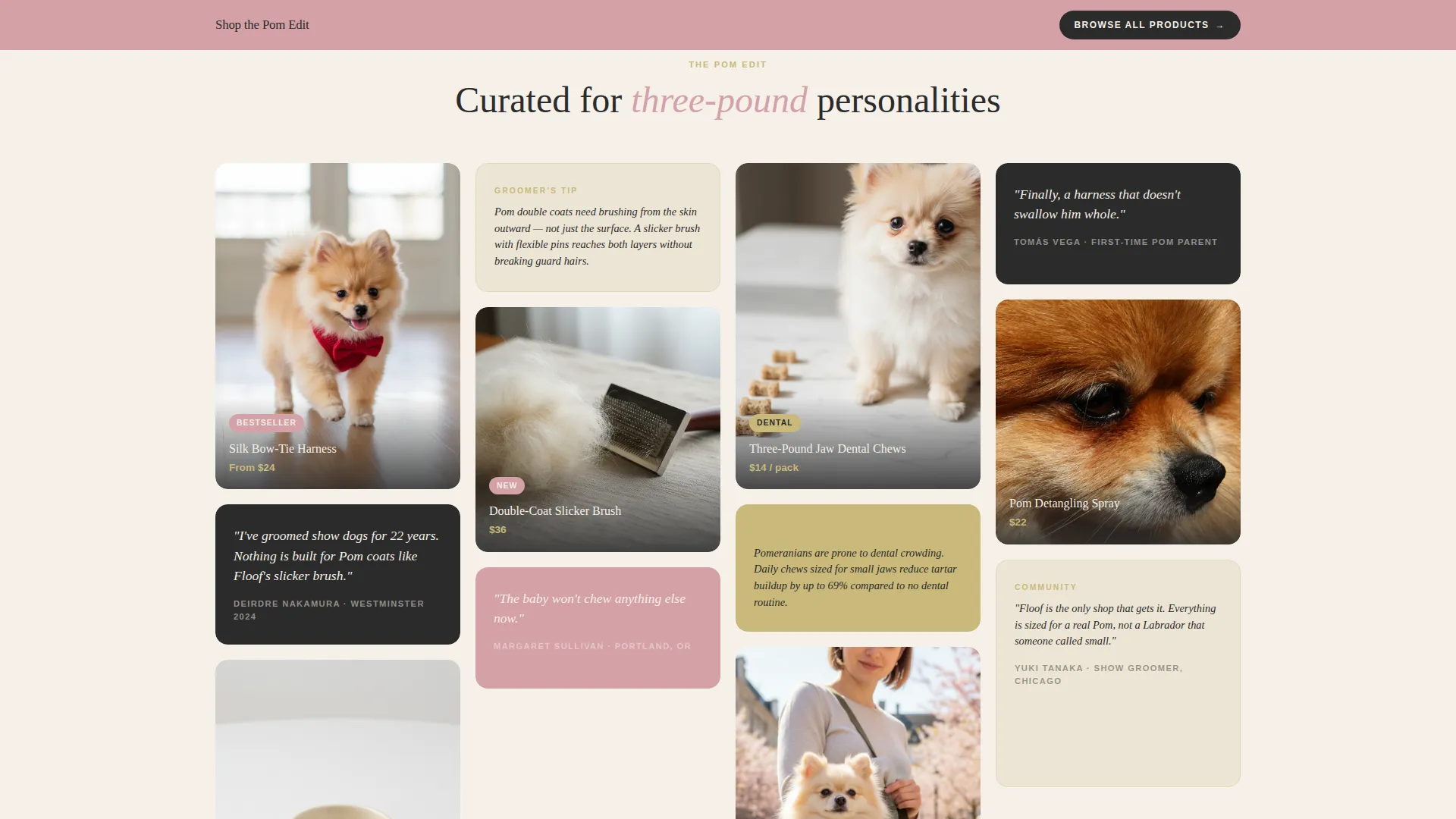 Pomeranian Puppy Supplies Landing Page Template