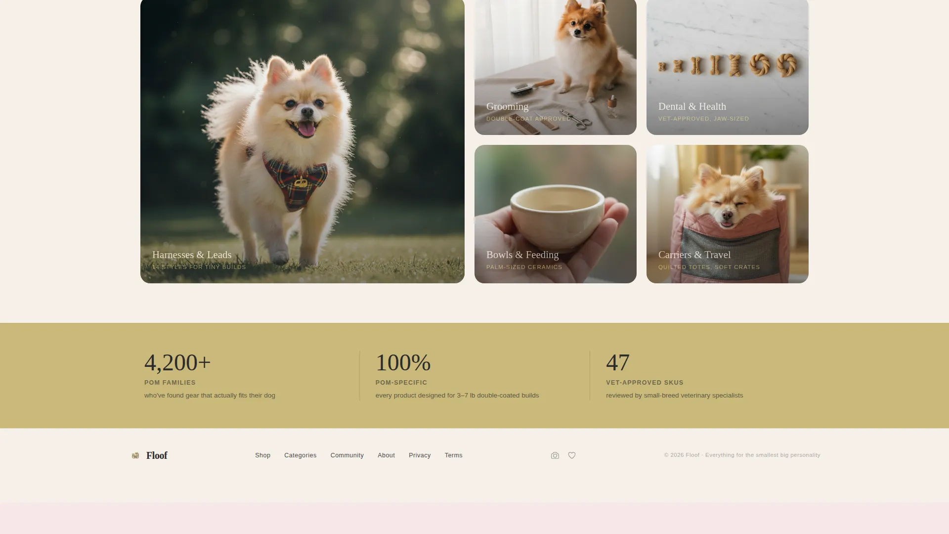 Pomeranian Puppy Supplies Landing Page Template