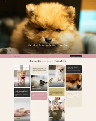 Pomeranian Puppy Supplies Landing Page Template