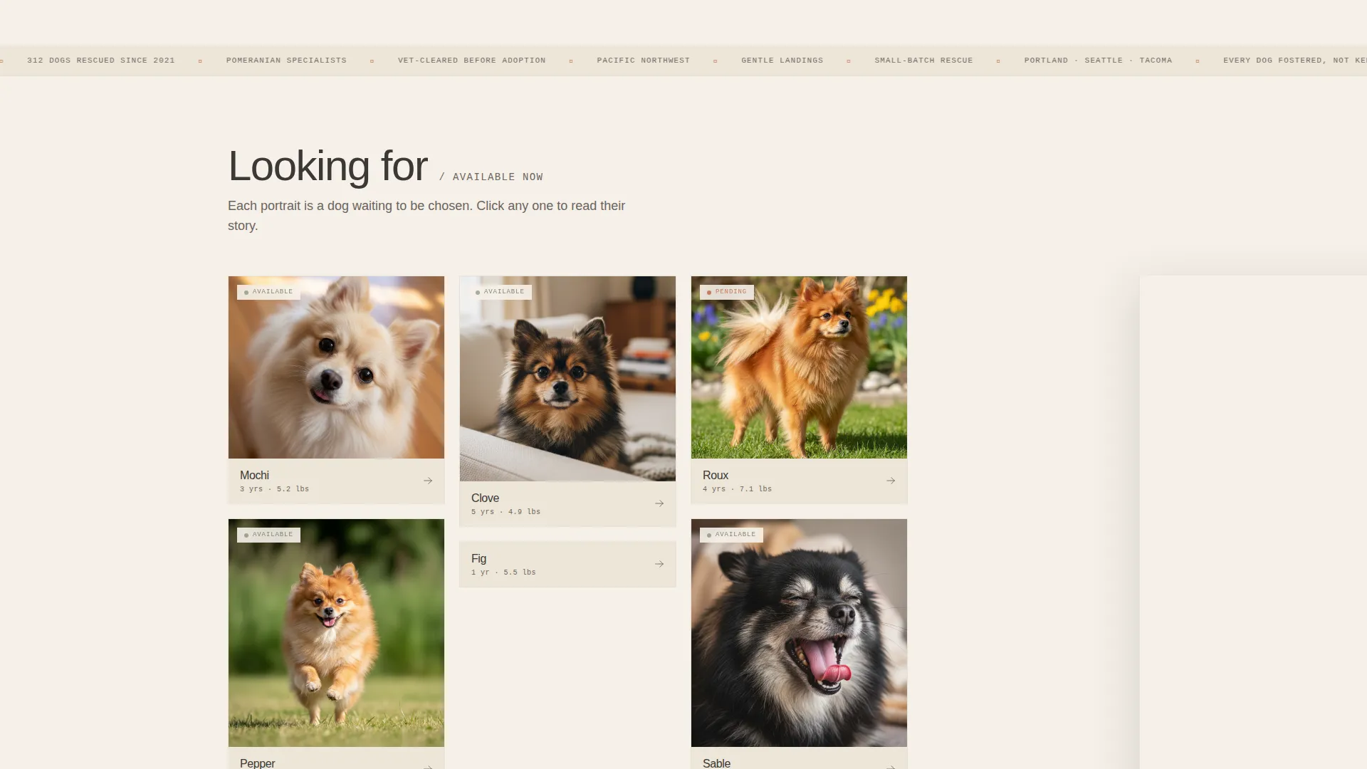 Pomeranian Rescue & Adoption Landing Page Template