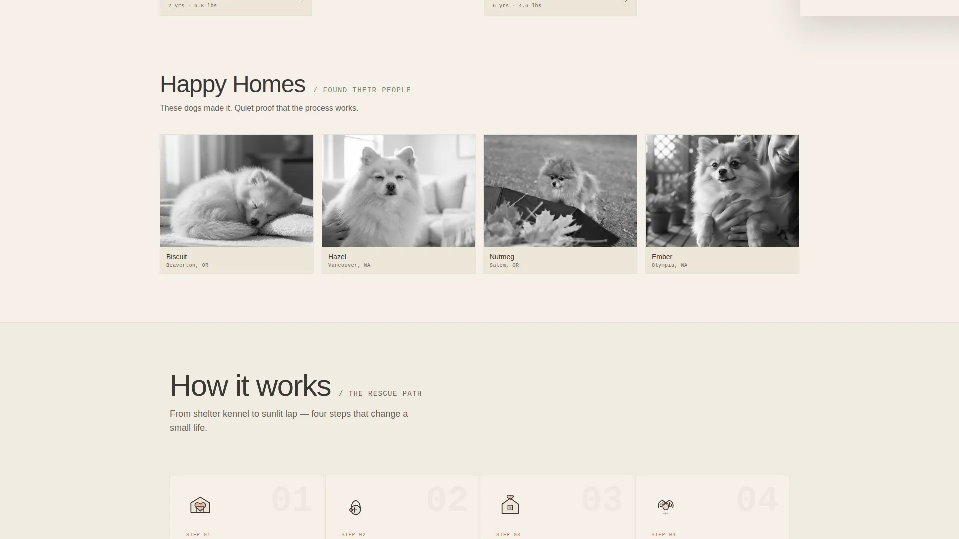 Pomeranian Rescue & Adoption Landing Page Template