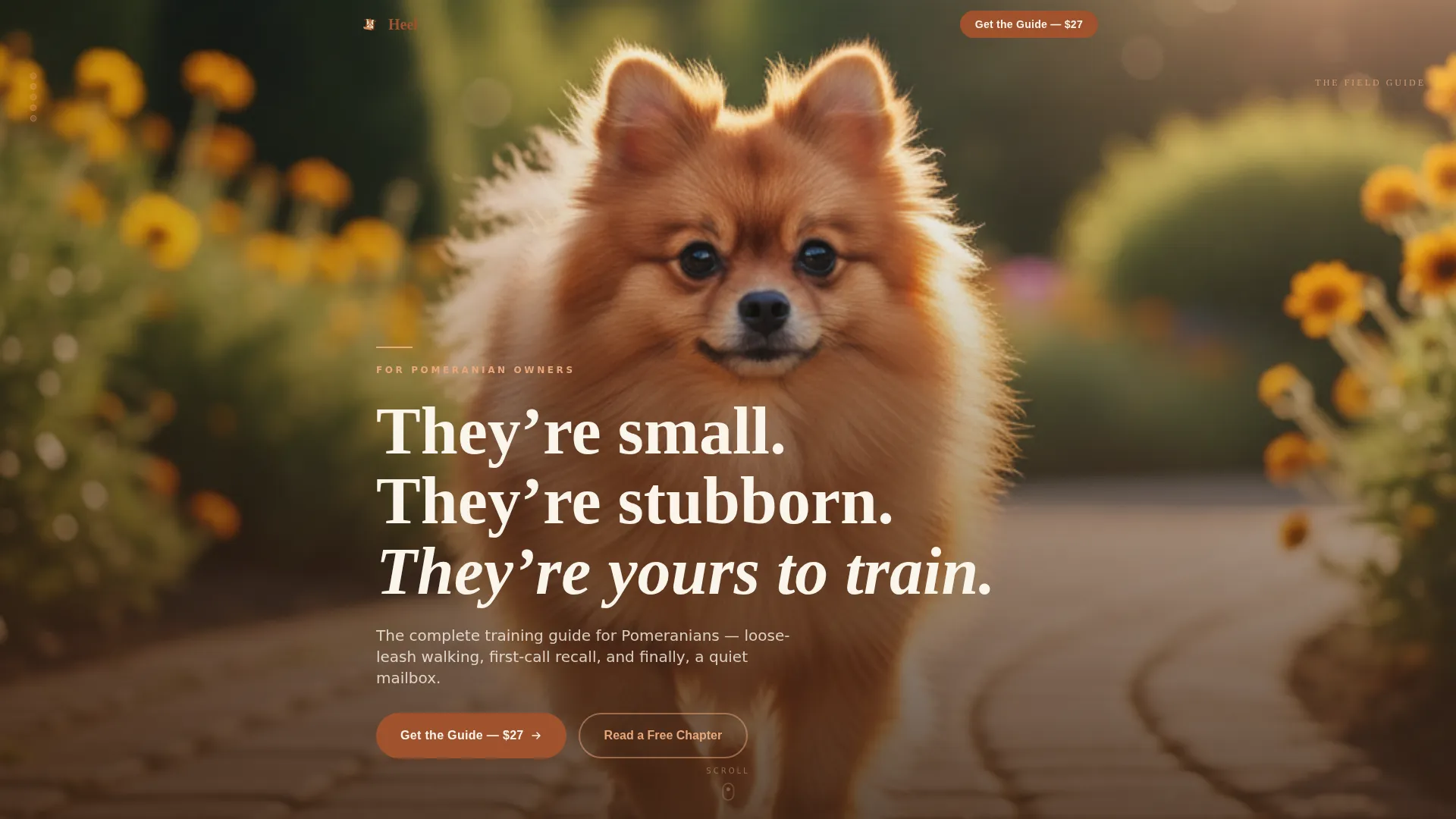 Pomeranian Training Guide Landing Page Template