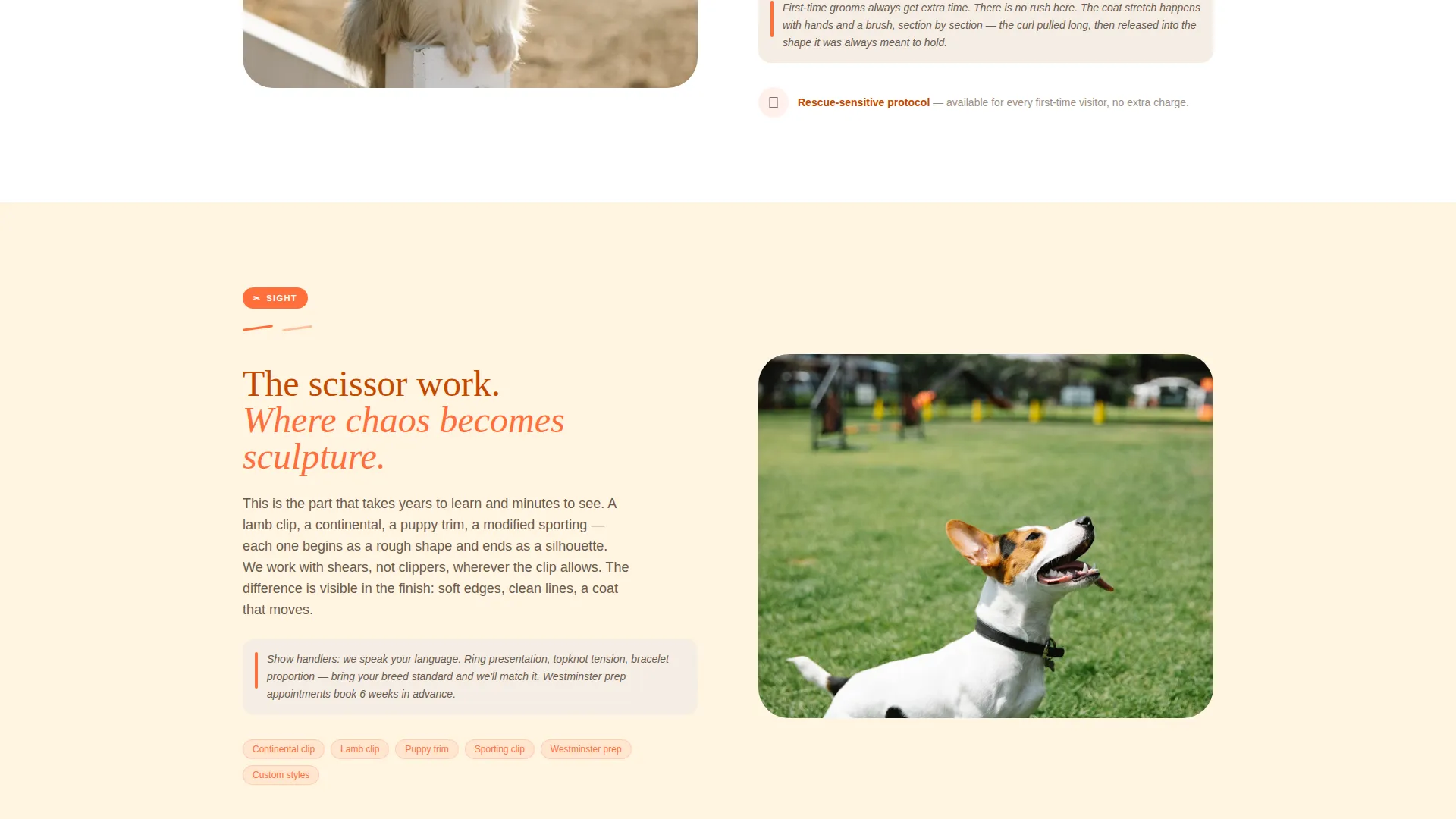Dog Booking Website Template