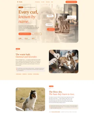 Dog Booking Website Template