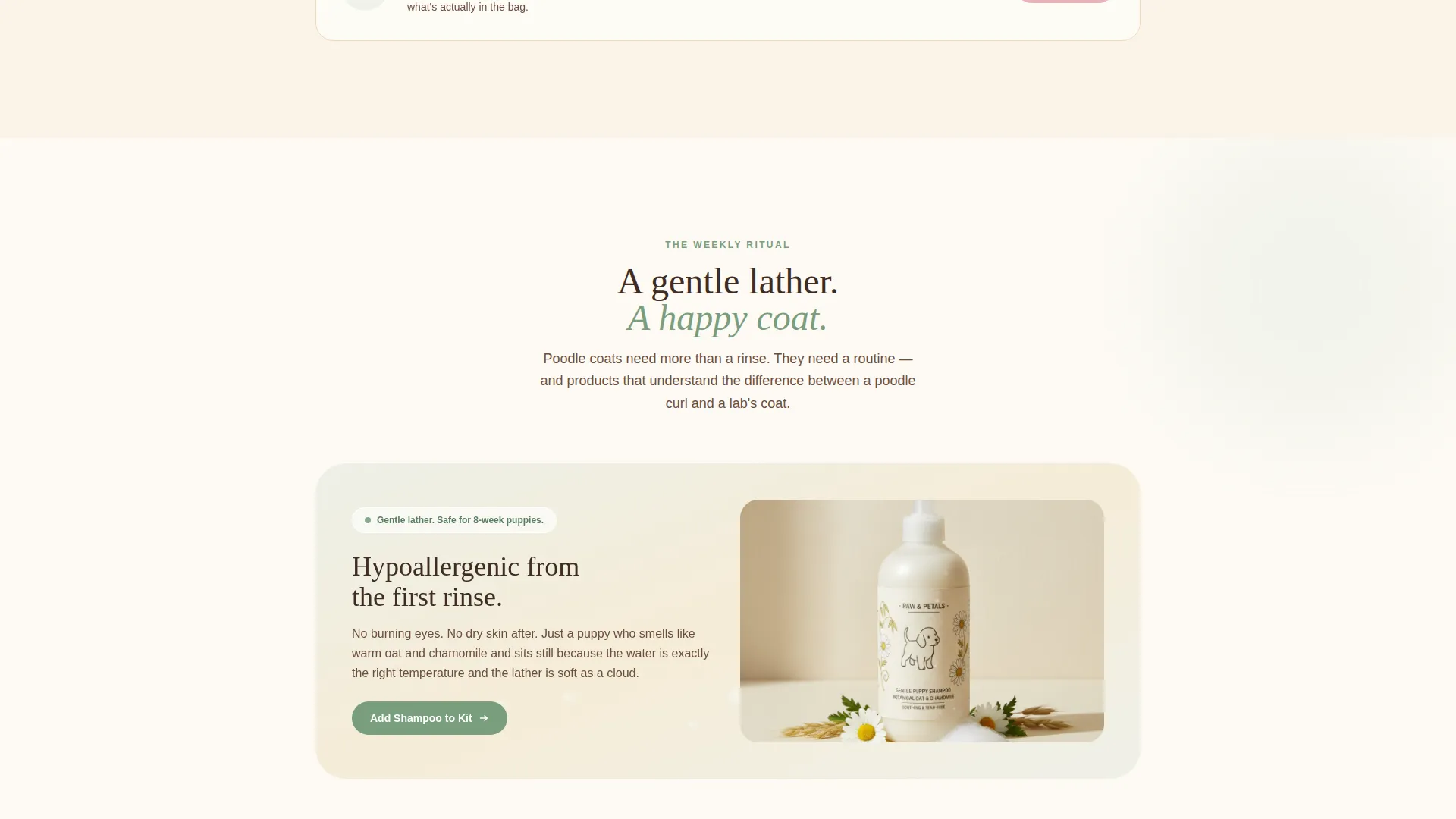Dog Professional Website Template