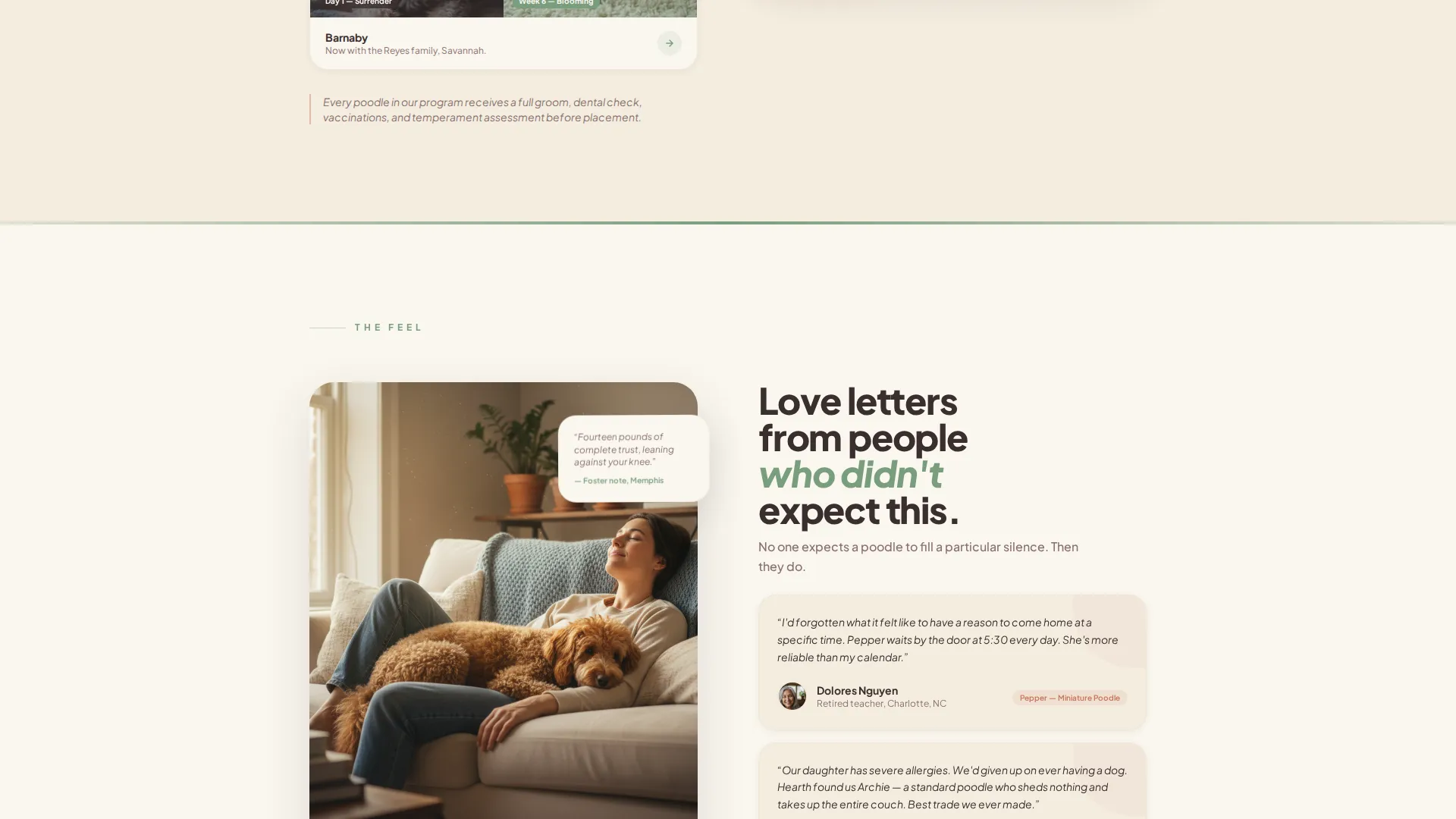 Dog Professional Website Template