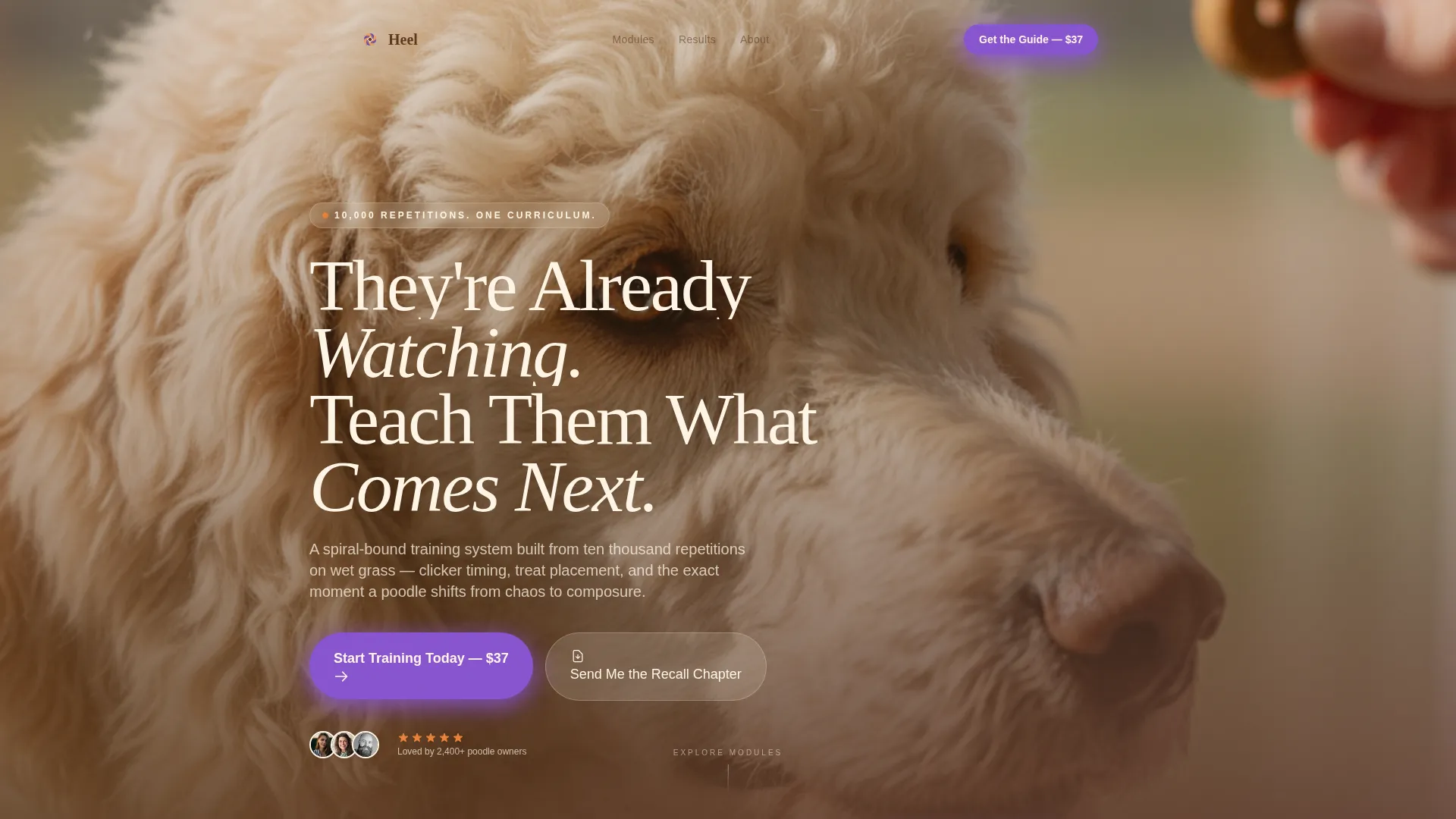 Dog Professional Website Template