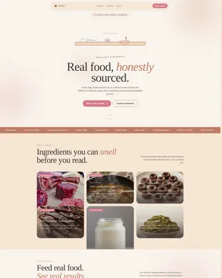 Pet Store & Supply Booking Website Template