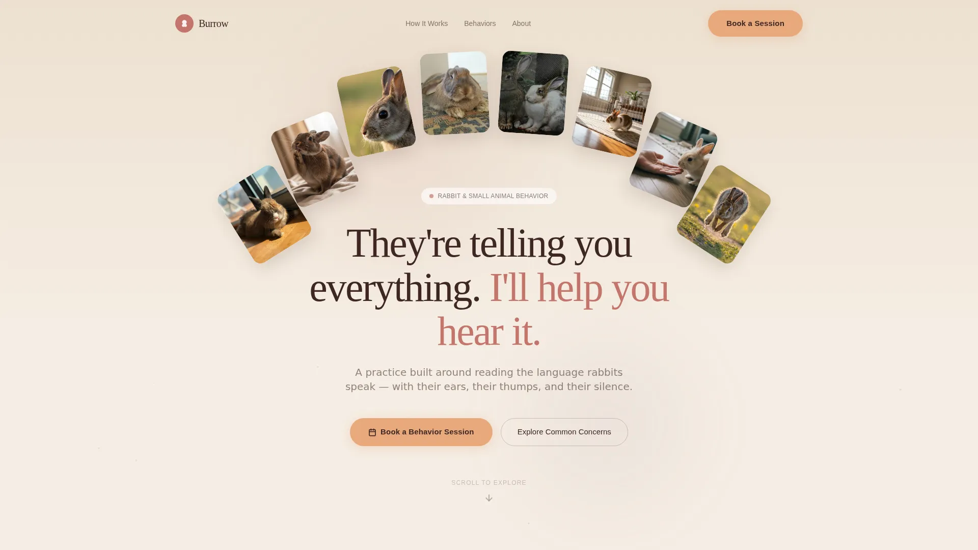Rabbit Behavior Consultant Landing Page Template