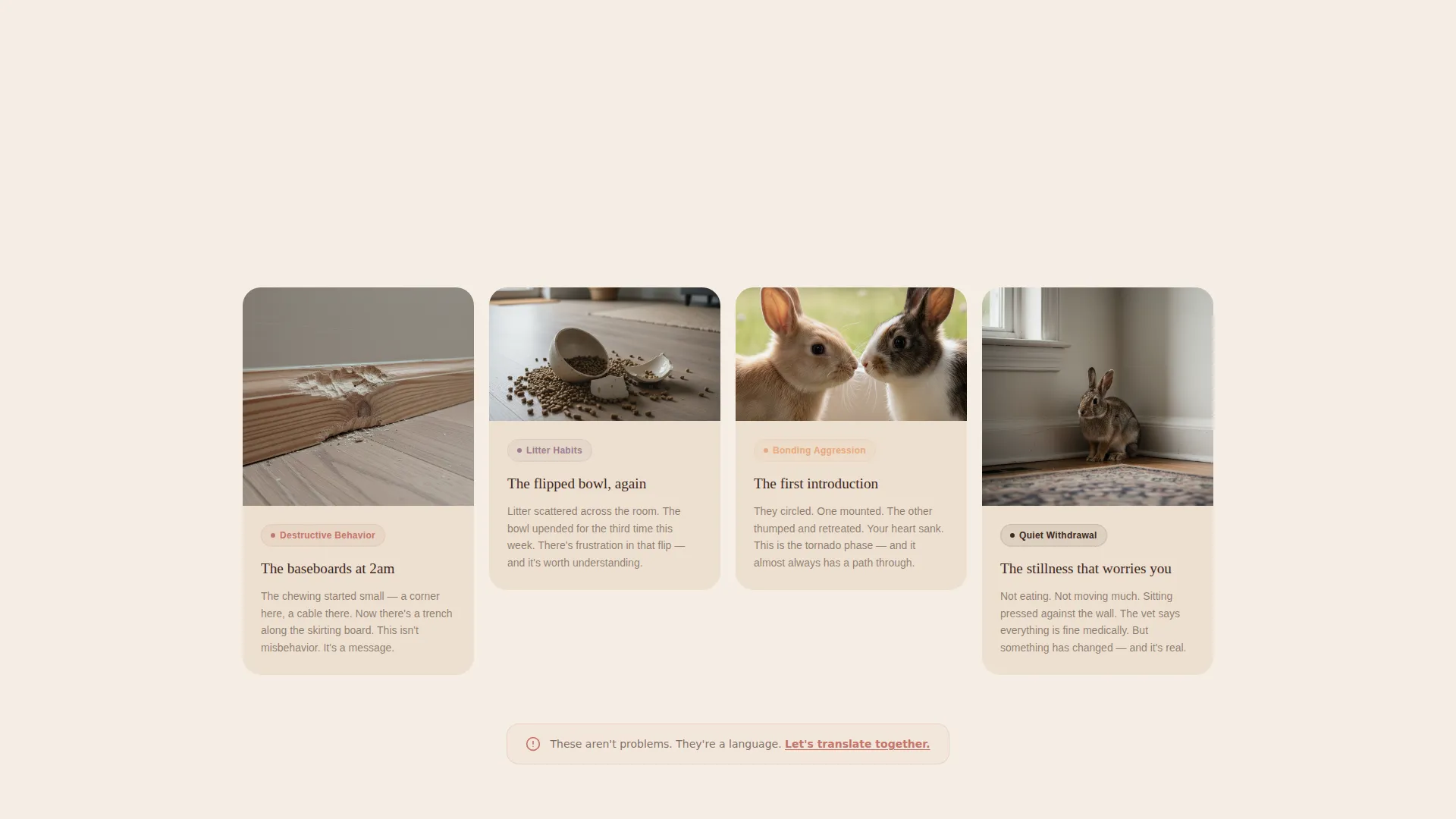 Rabbit Behavior Consultant Landing Page Template