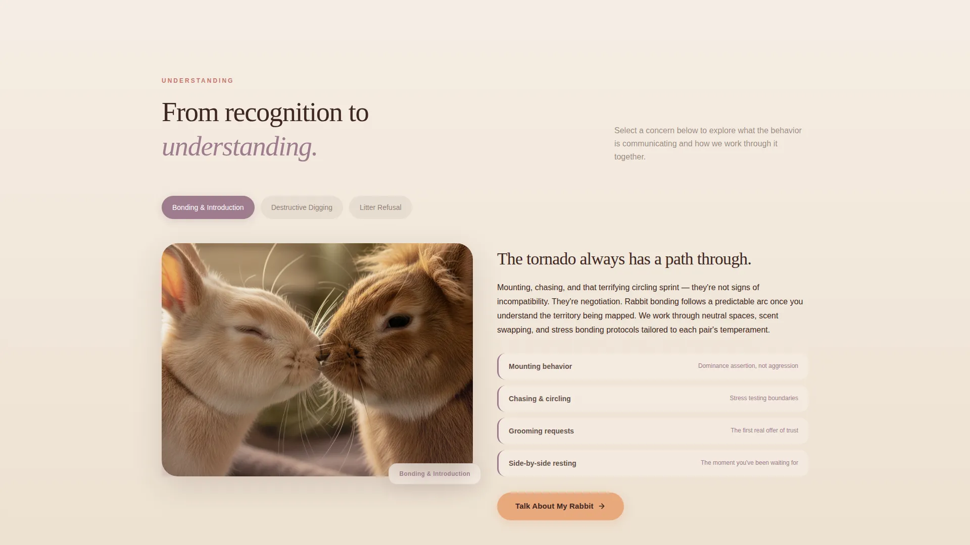 Rabbit Behavior Consultant Landing Page Template