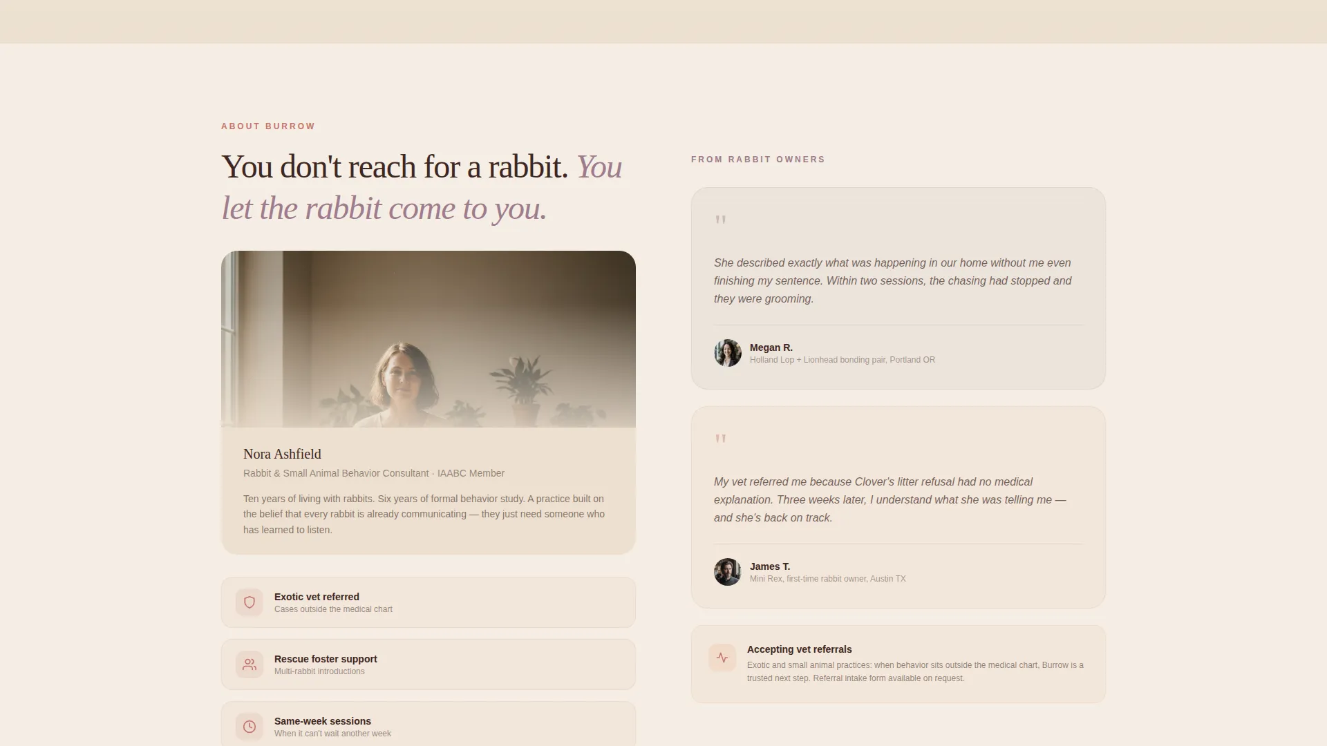 Rabbit Behavior Consultant Landing Page Template