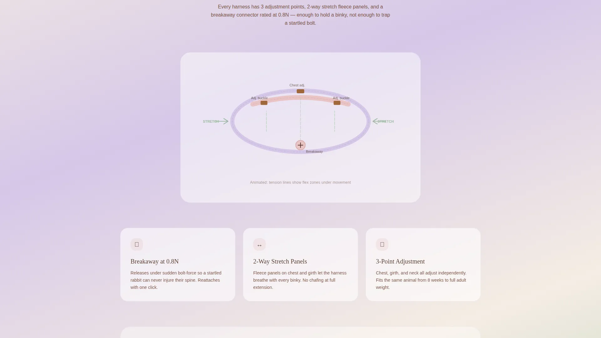 Cozy Small Animal Landing Page Template