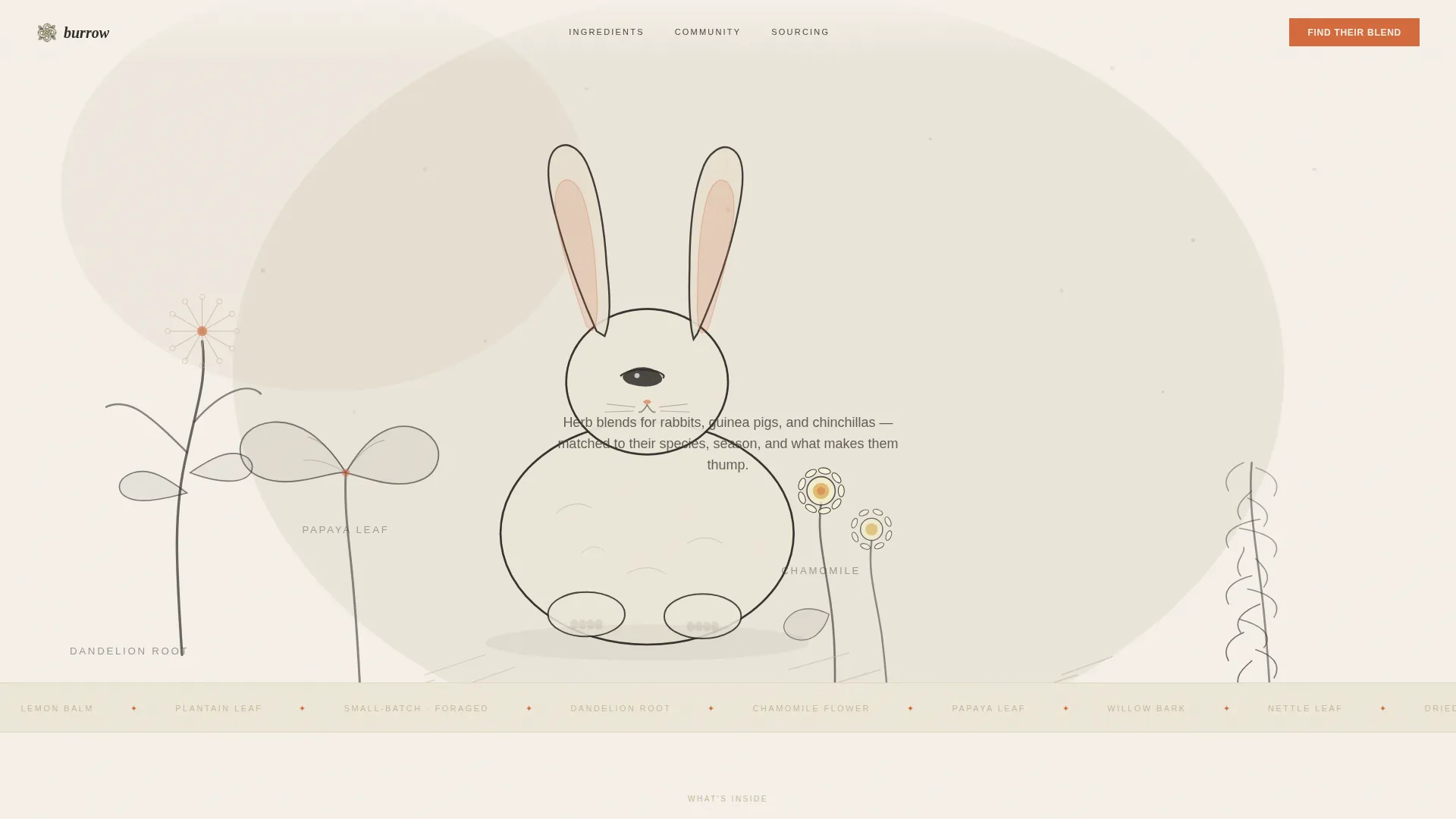 Artisan Small Animal Supplement Landing Page Template