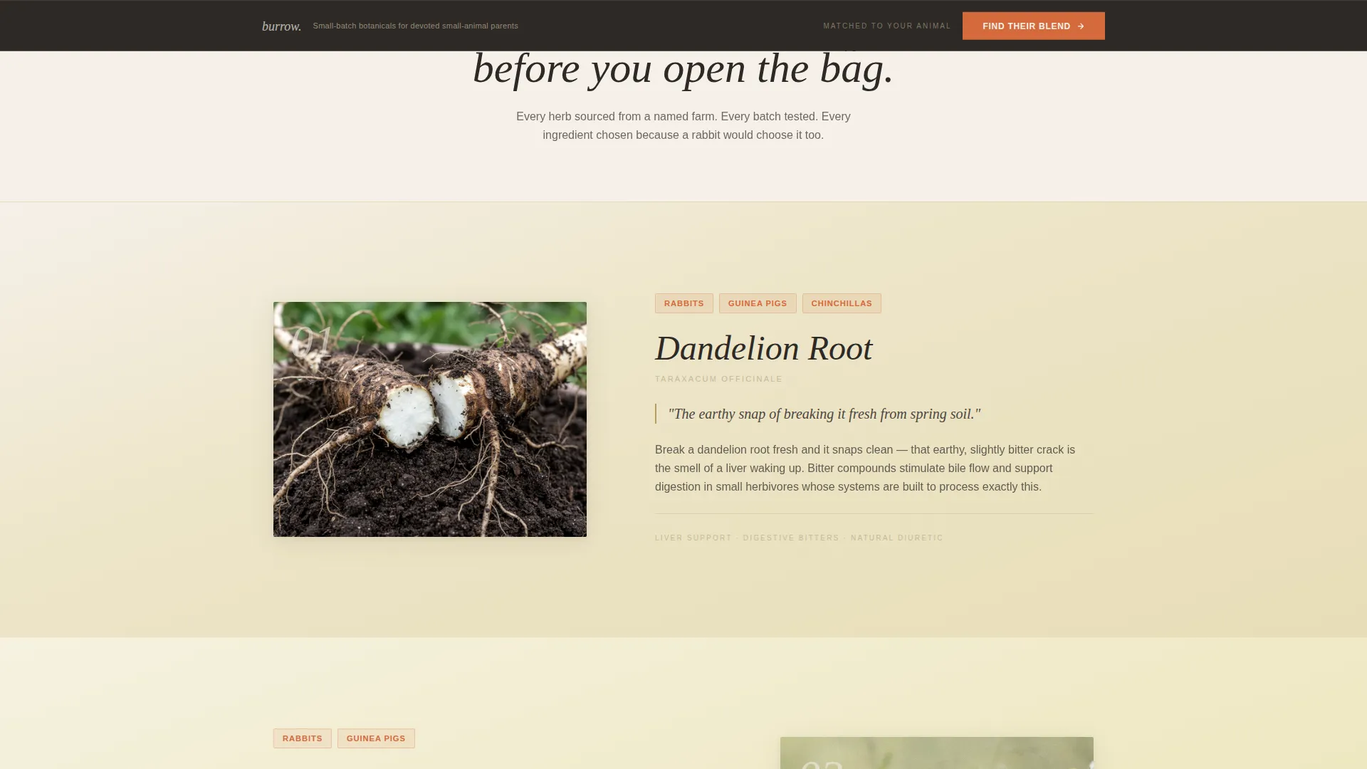 Artisan Small Animal Supplement Landing Page Template