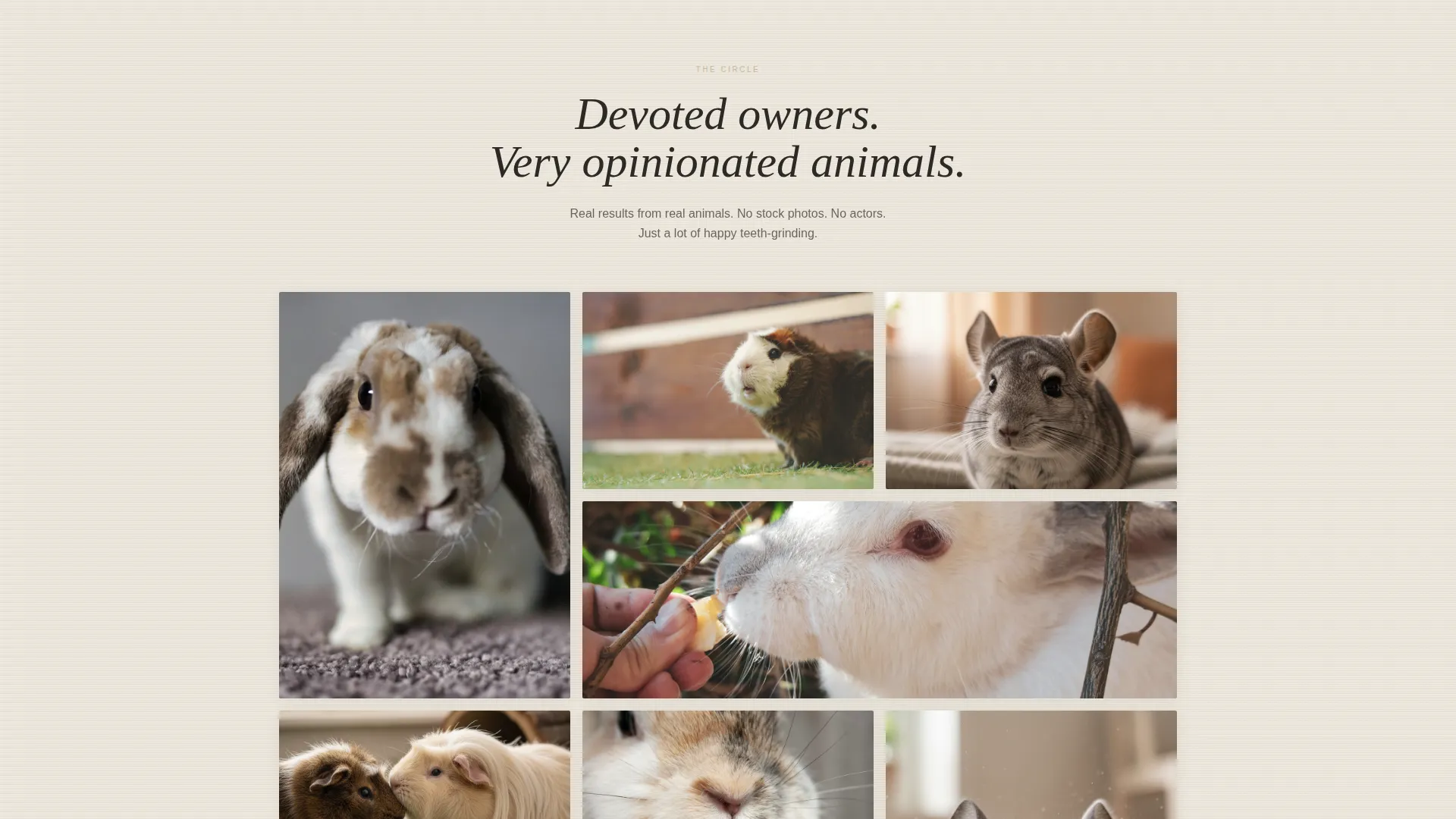 Artisan Small Animal Supplement Landing Page Template