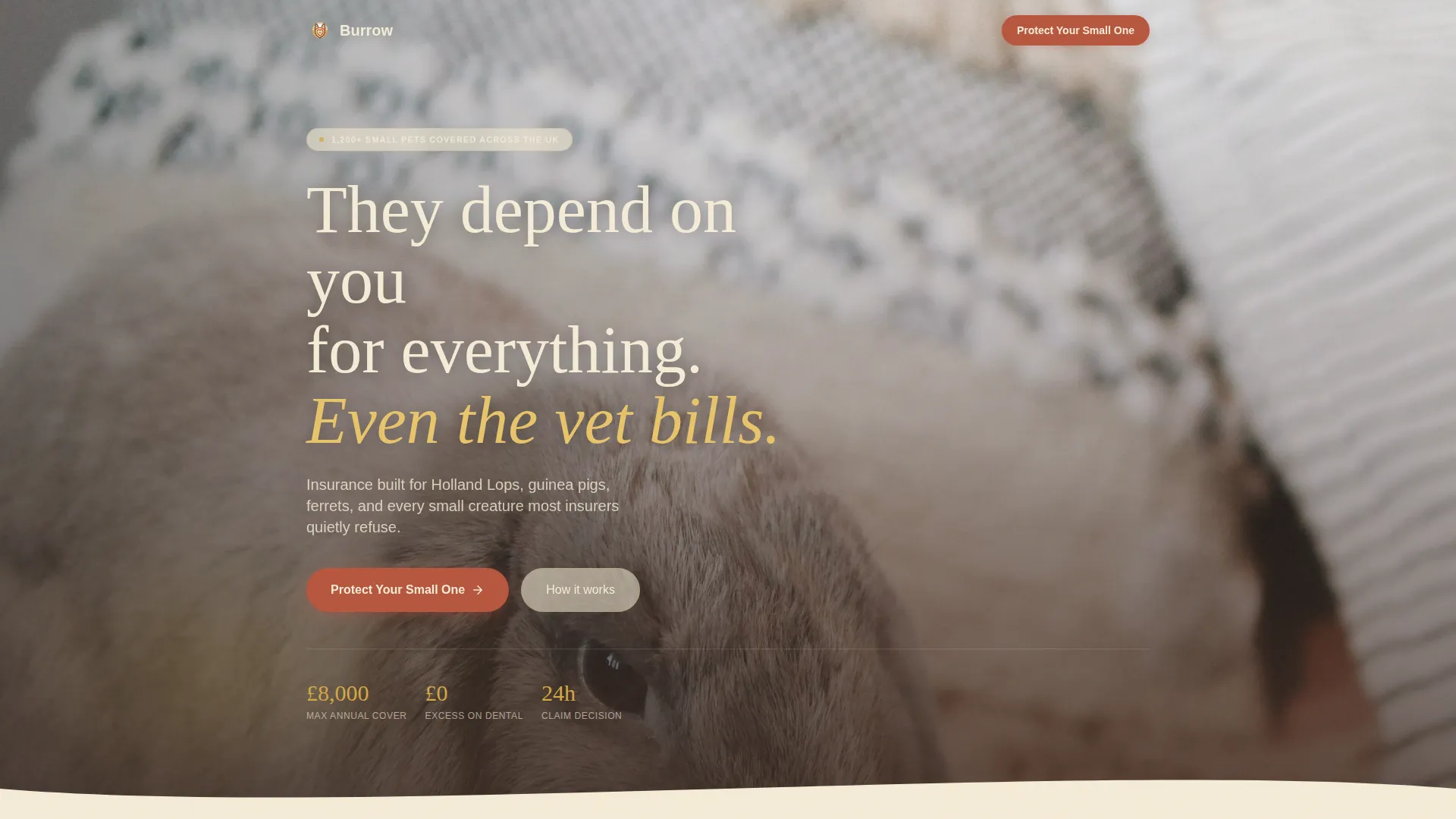 Rabbit & Small Animal Insurance Landing Page