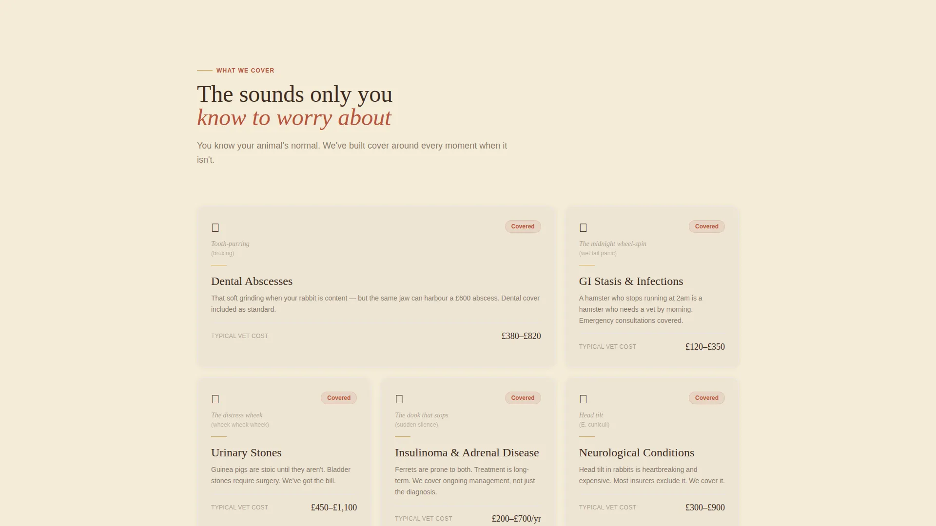Rabbit & Small Animal Insurance Landing Page