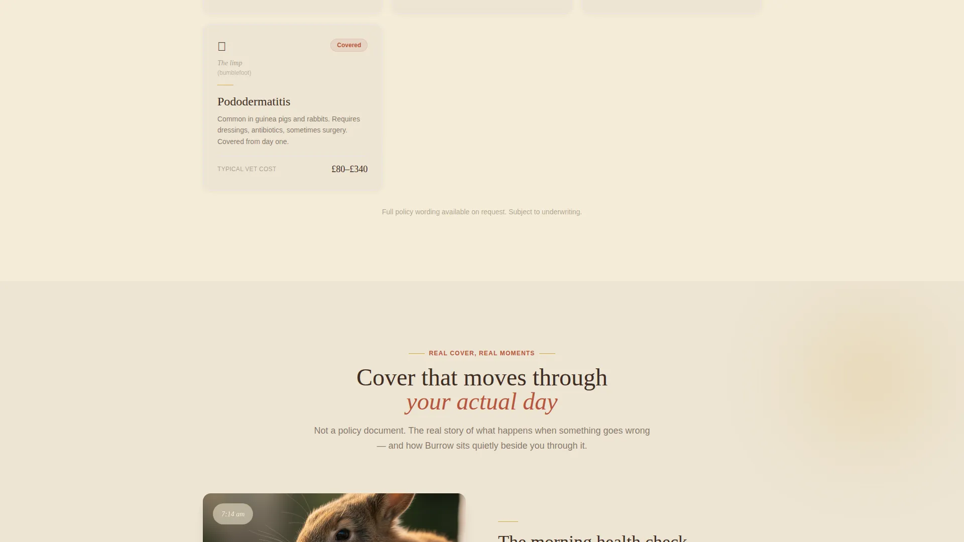 Rabbit & Small Animal Insurance Landing Page