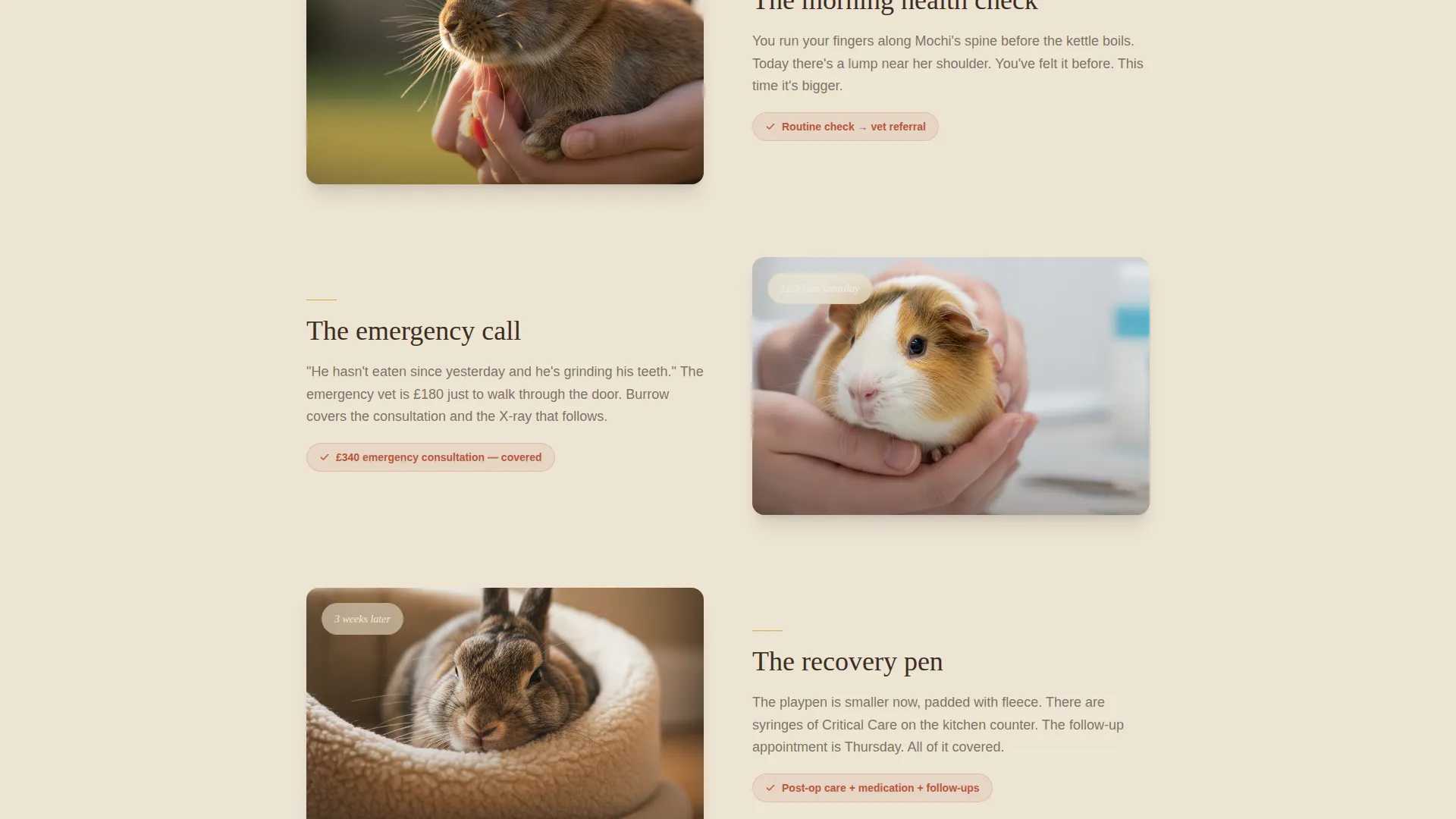 Rabbit & Small Animal Insurance Landing Page