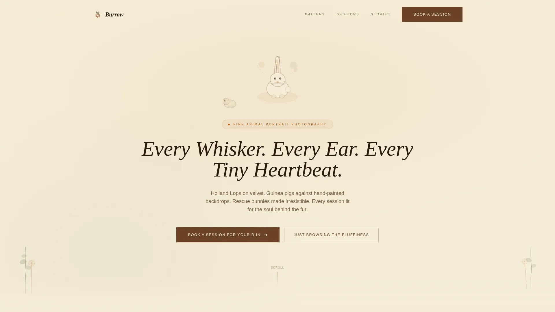 Rabbit & Small Animal Photography Landing Page