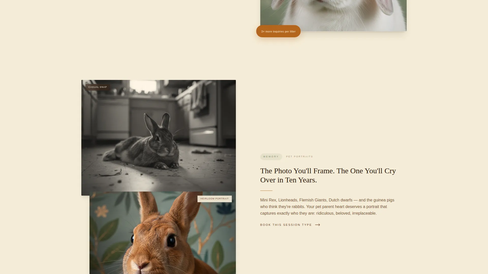 Rabbit & Small Animal Photography Landing Page