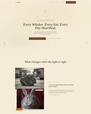 Rabbit & Small Animal Photography Landing Page