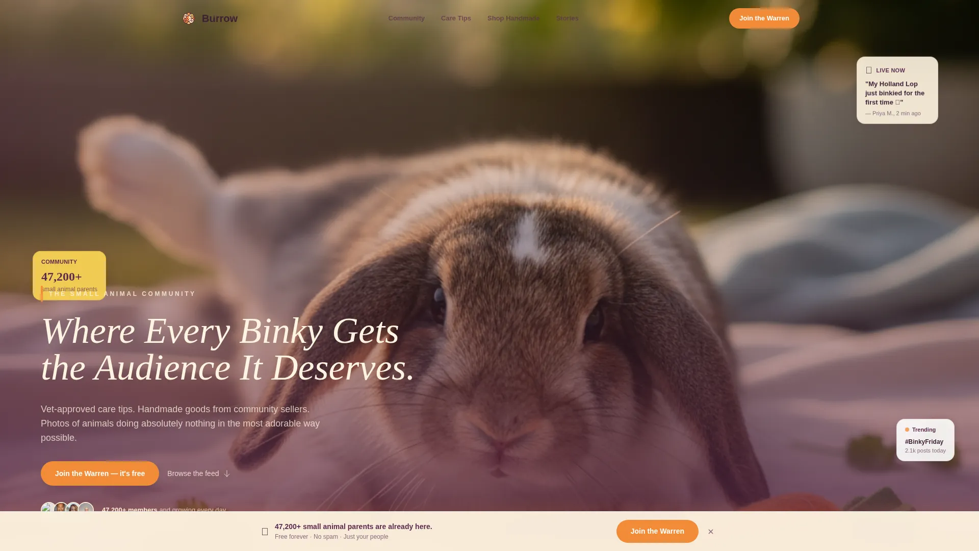 Warm Small Animal Community Landing Page Template