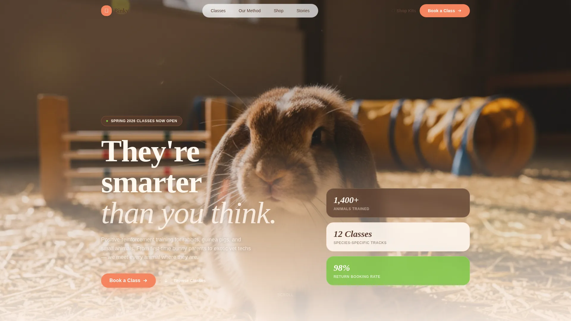 Rabbit & Small Animal Training School Landing Page
